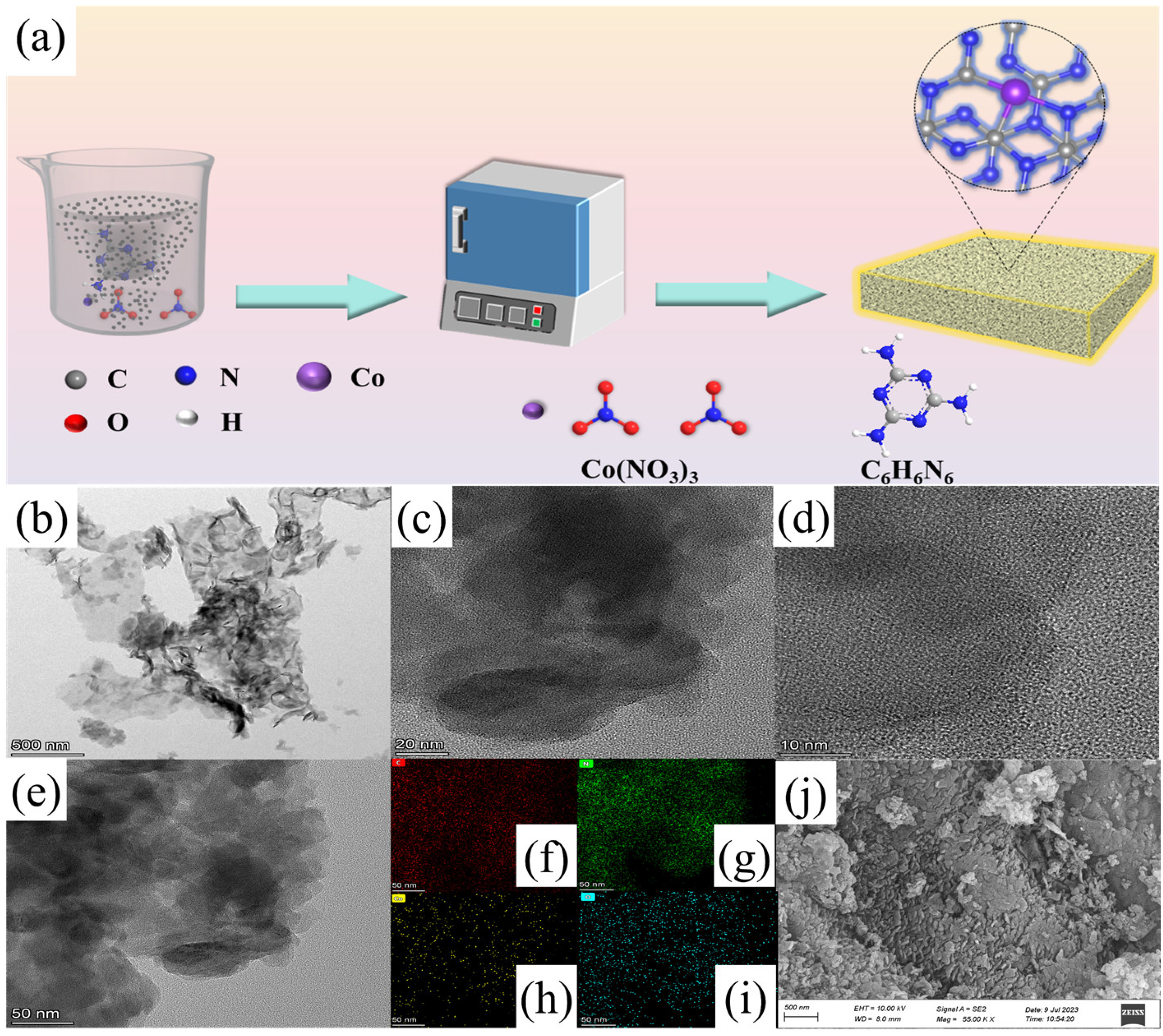 Catalysts 15 00366 g001