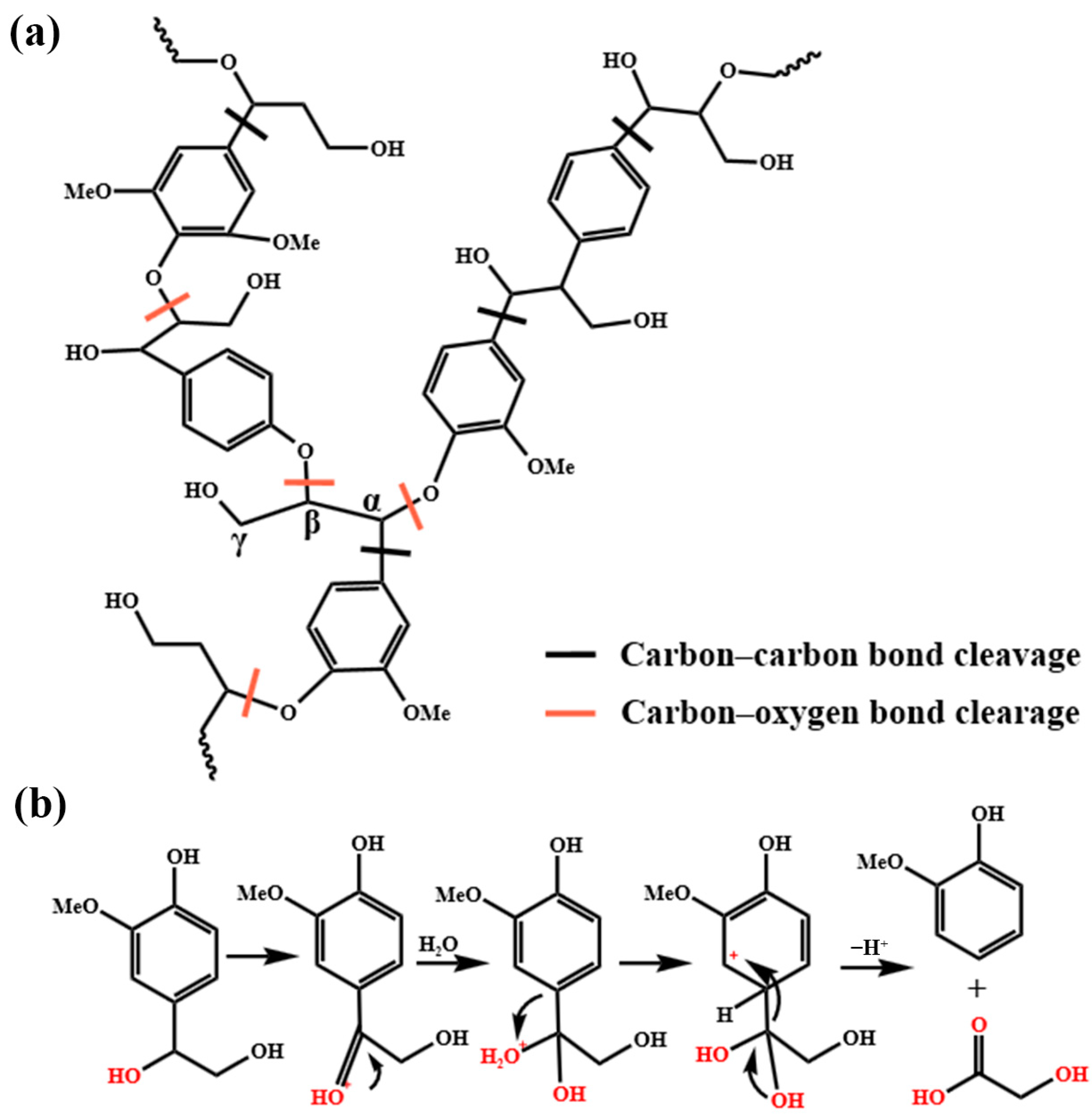 Catalysts 15 00367 g006