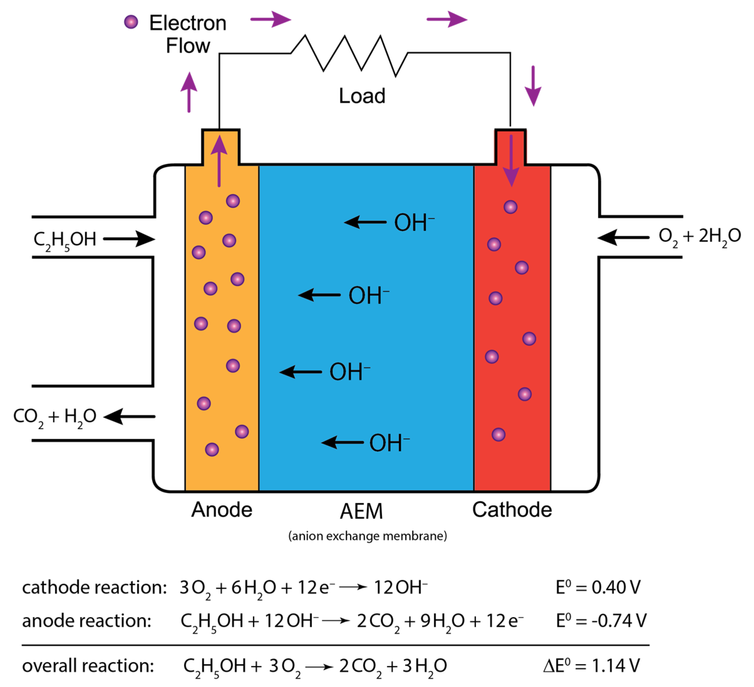 Catalysts 15 00368 g001
