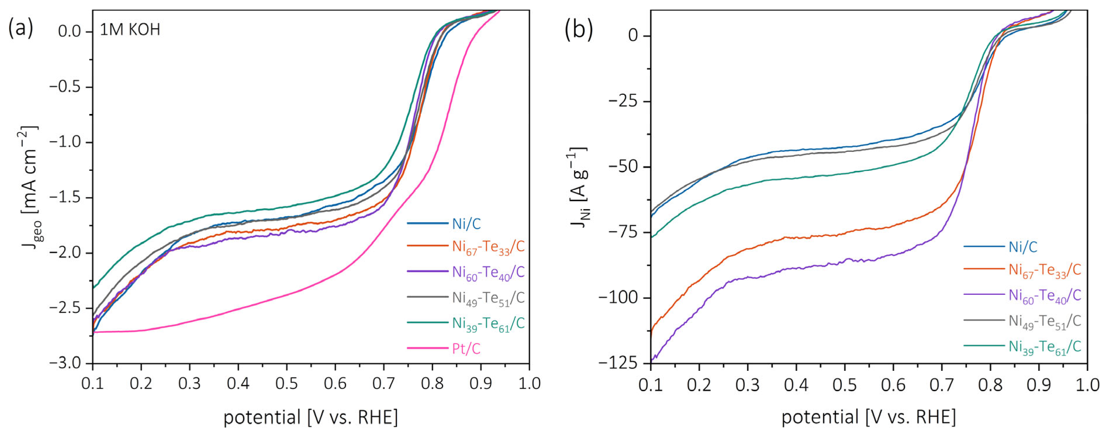 Catalysts 15 00368 g007