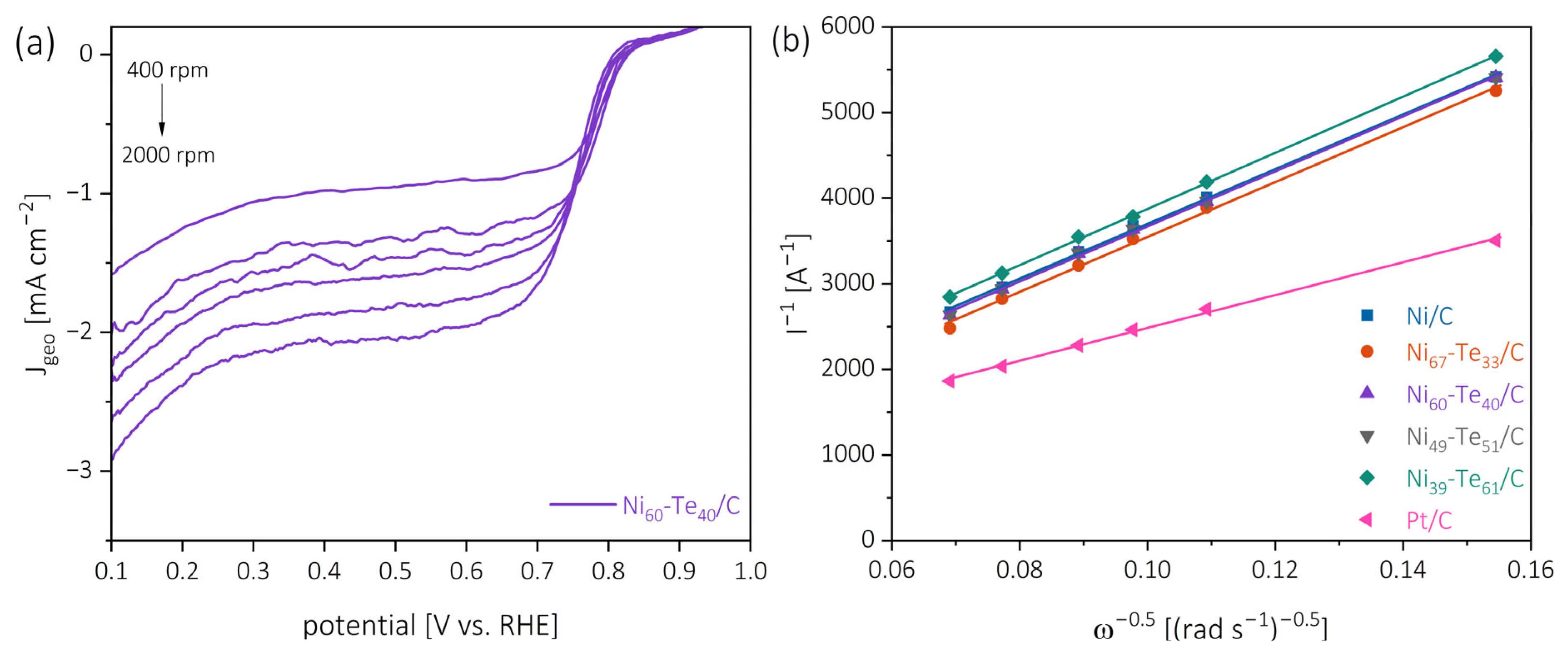 Catalysts 15 00368 g008