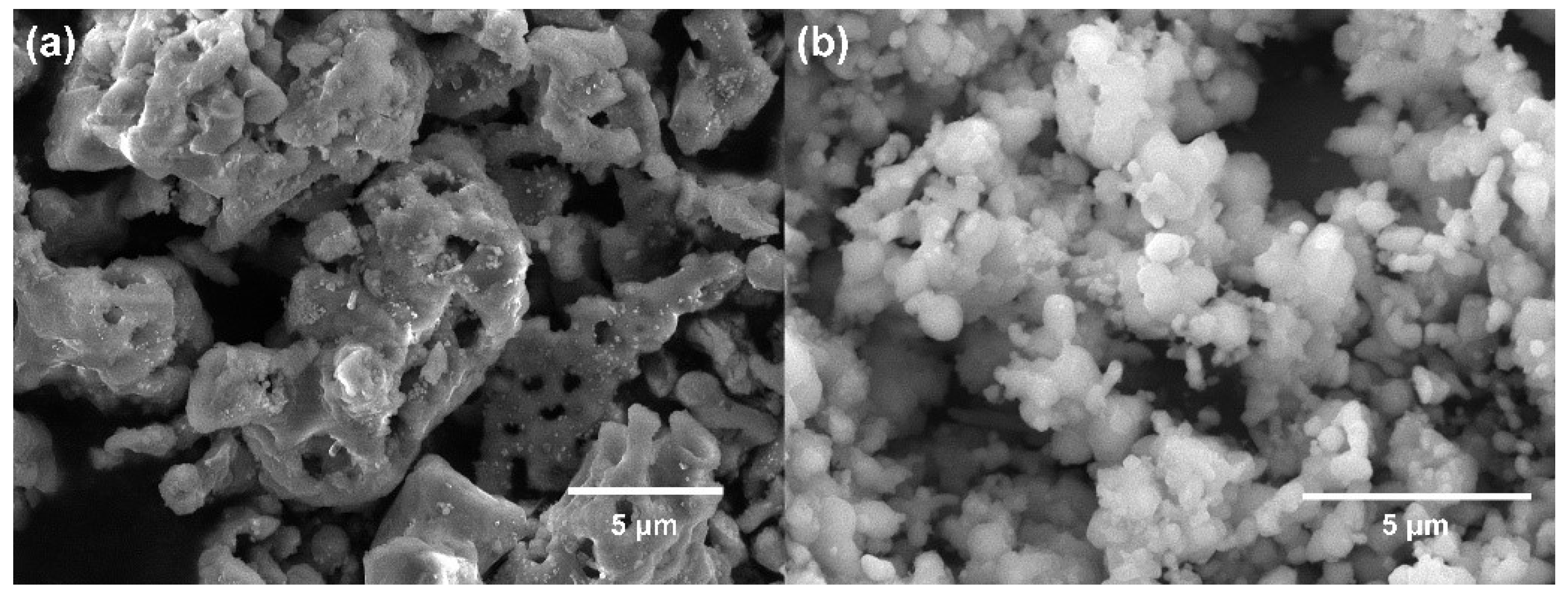 Catalysts 15 00372 g004
