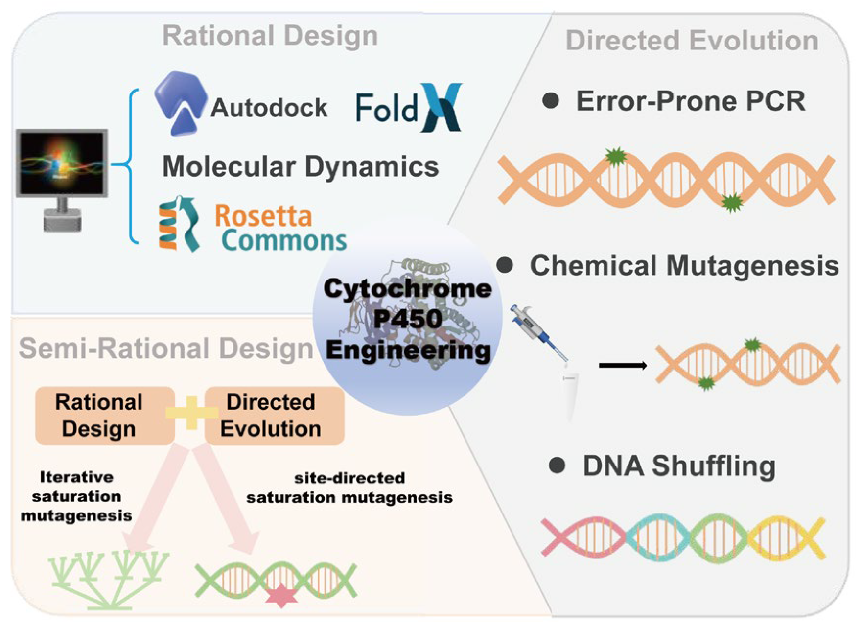 Catalysts 15 00374 g002