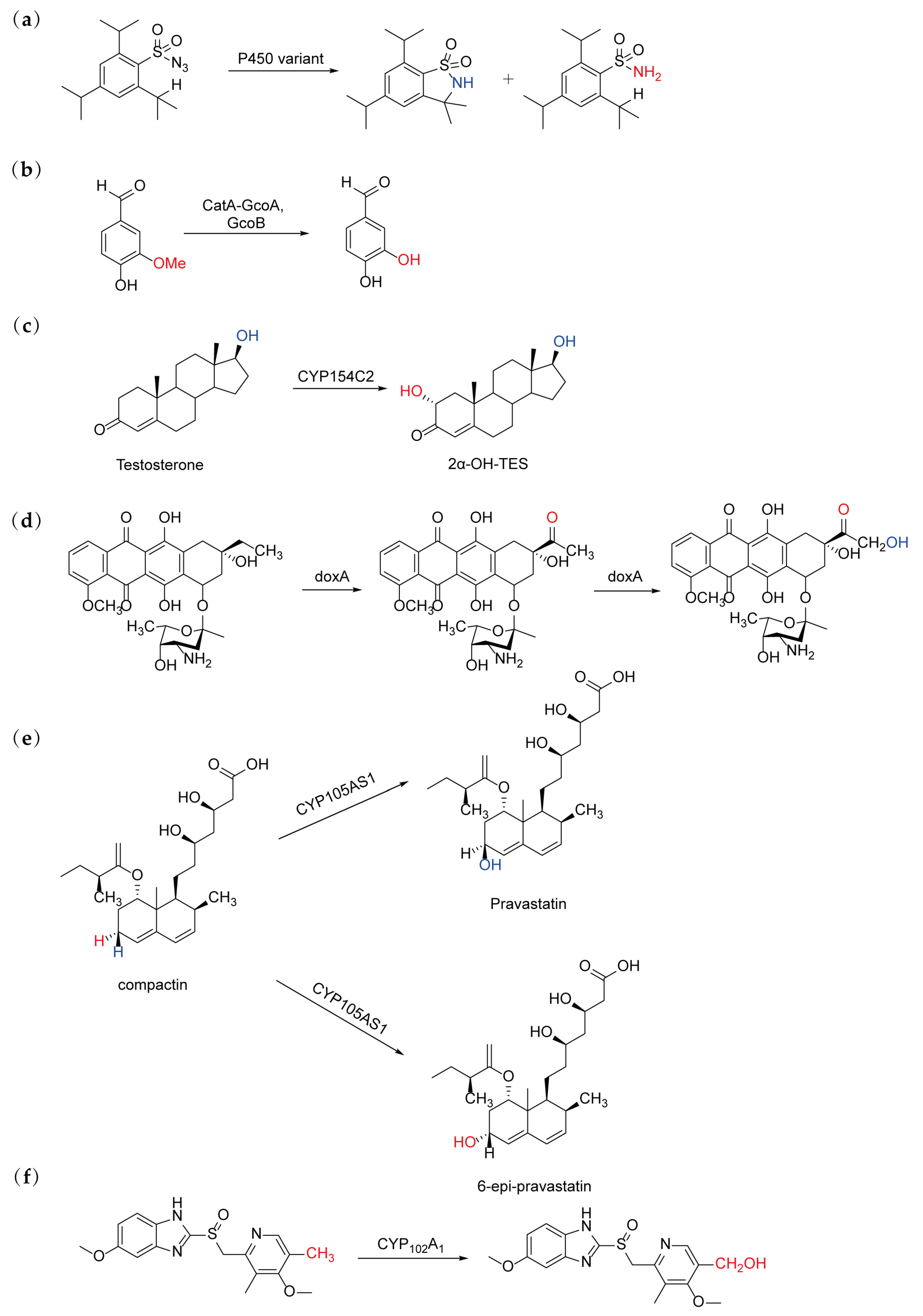 Catalysts 15 00374 g003