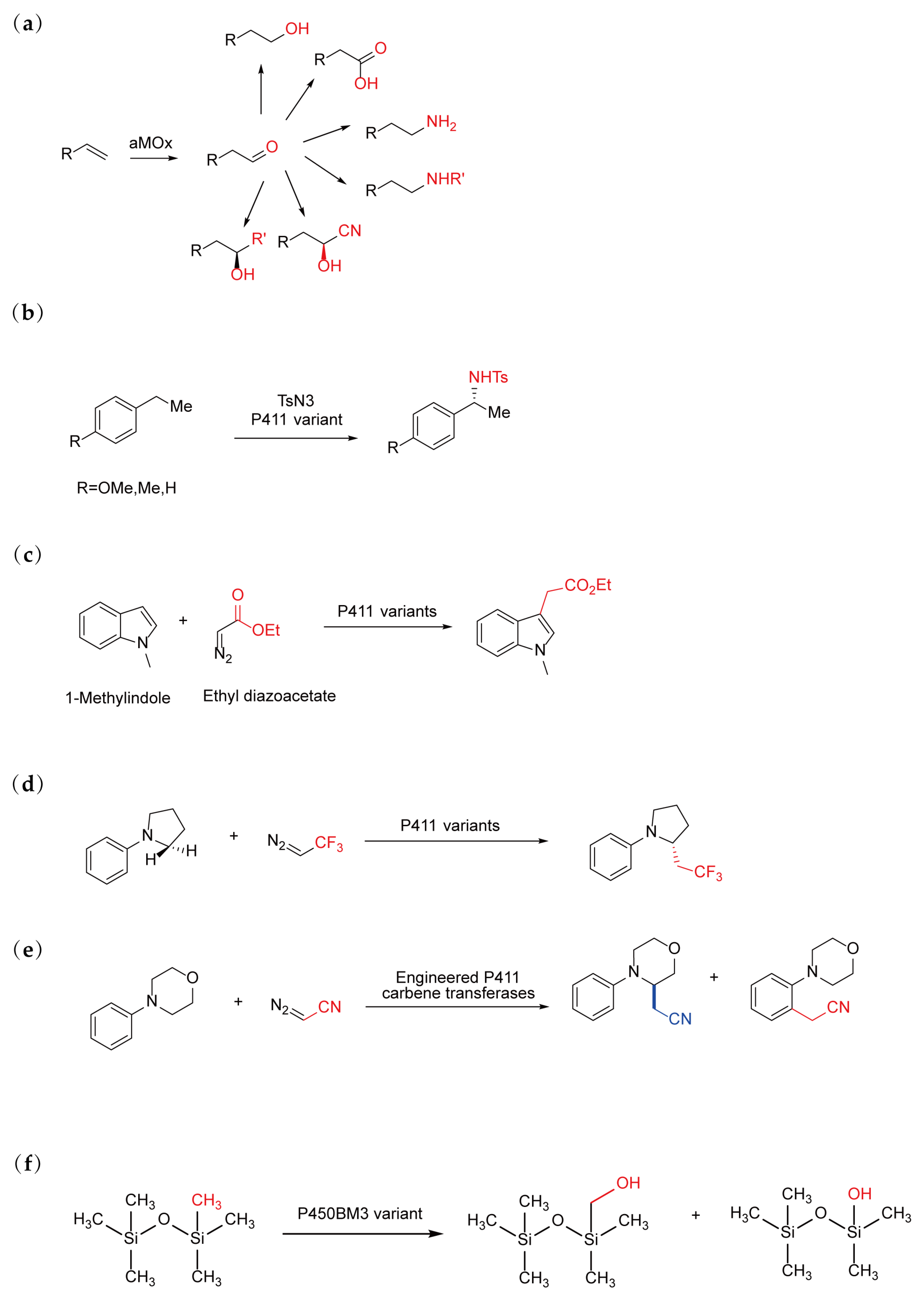 Catalysts 15 00374 g005