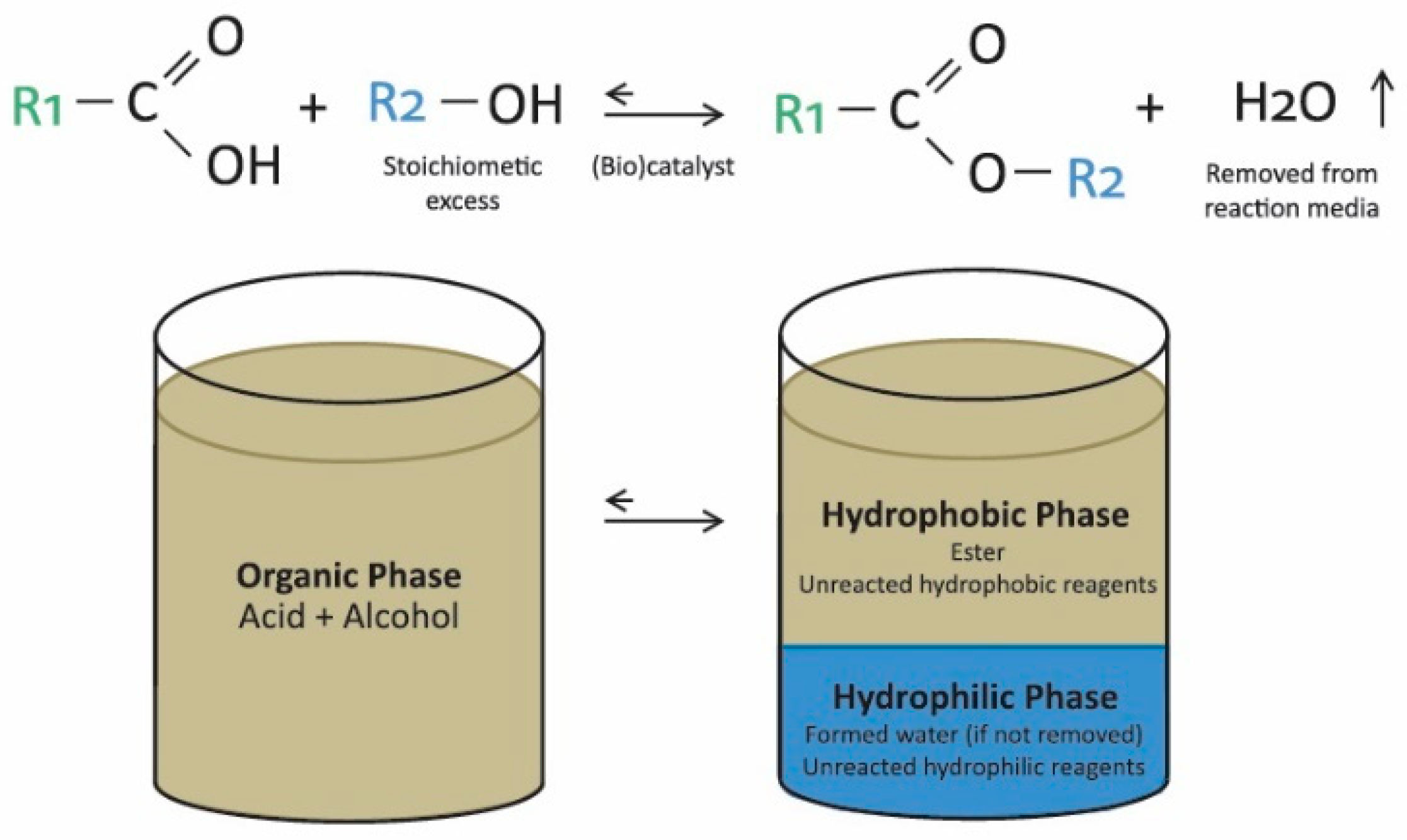 Catalysts 15 00375 g001 Catalysts 15 00375 g001