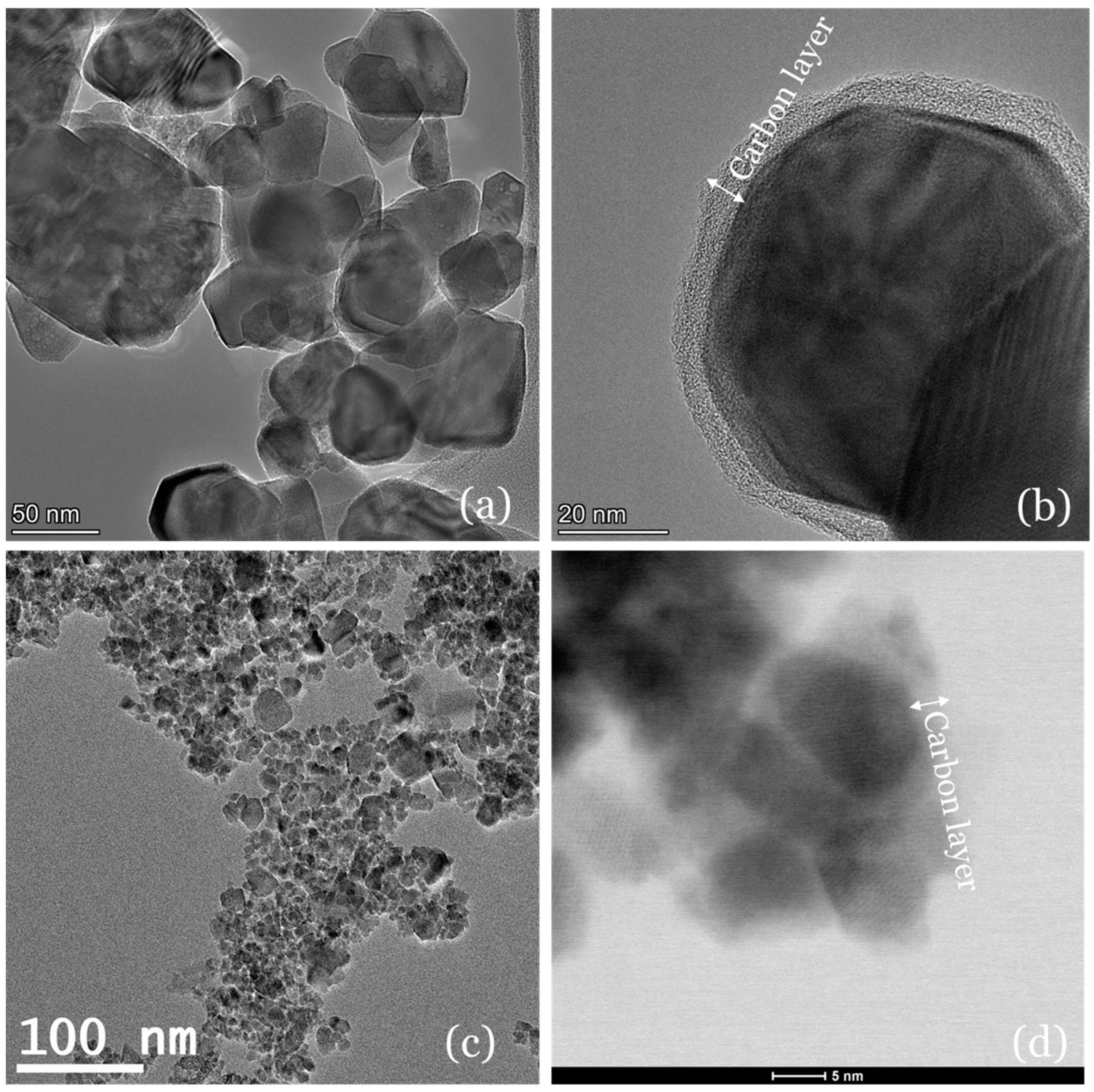 Catalysts 15 00376 g001