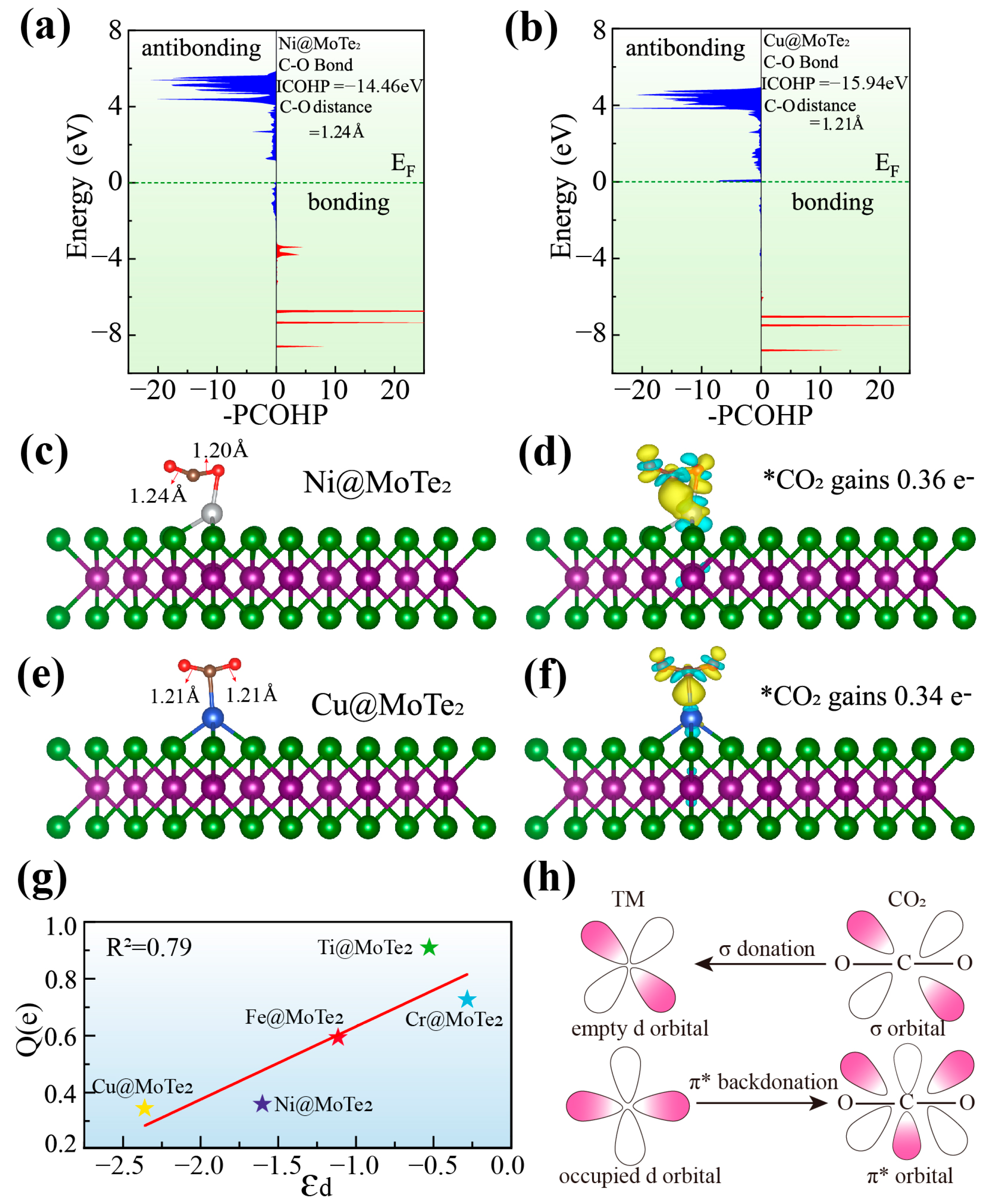 Catalysts 15 00377 g005