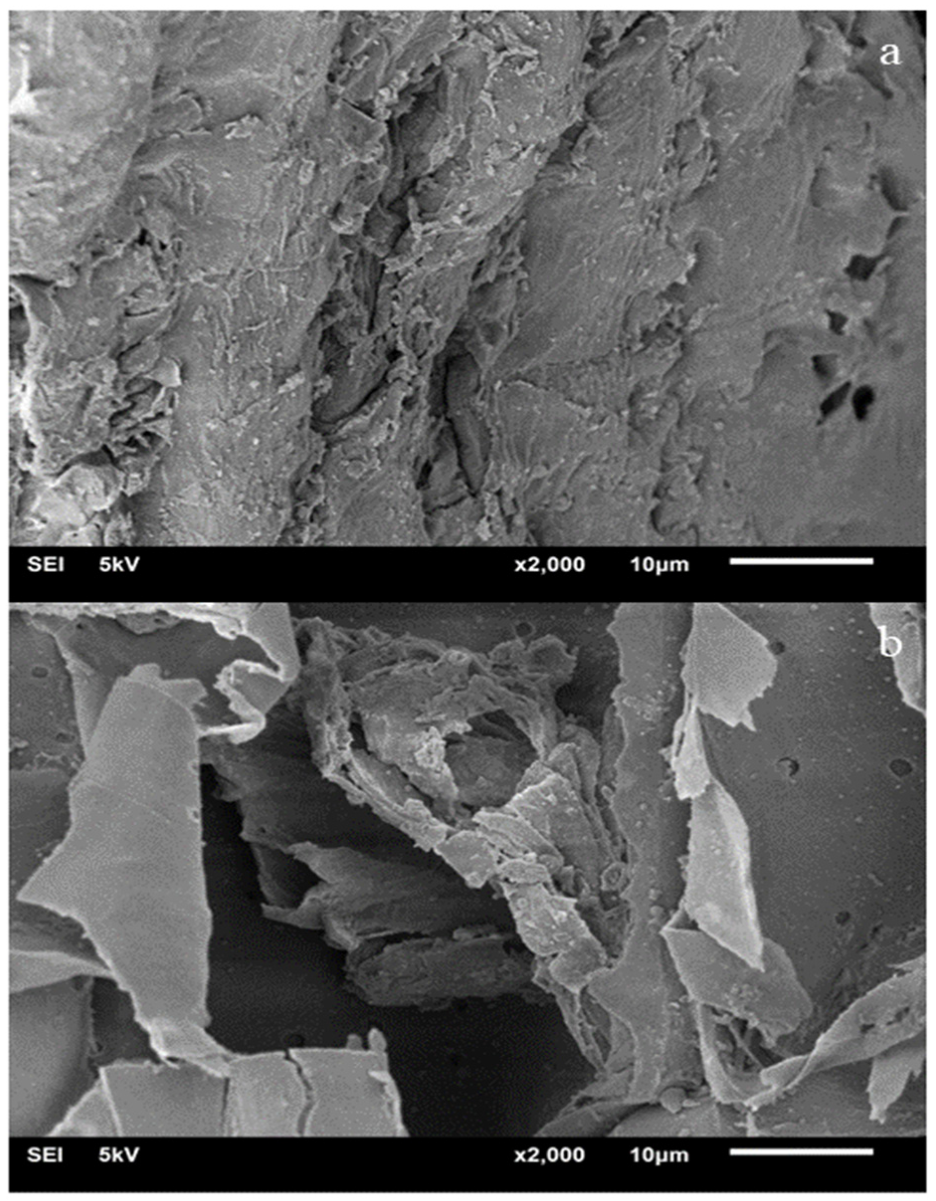 Catalysts 15 00379 g003