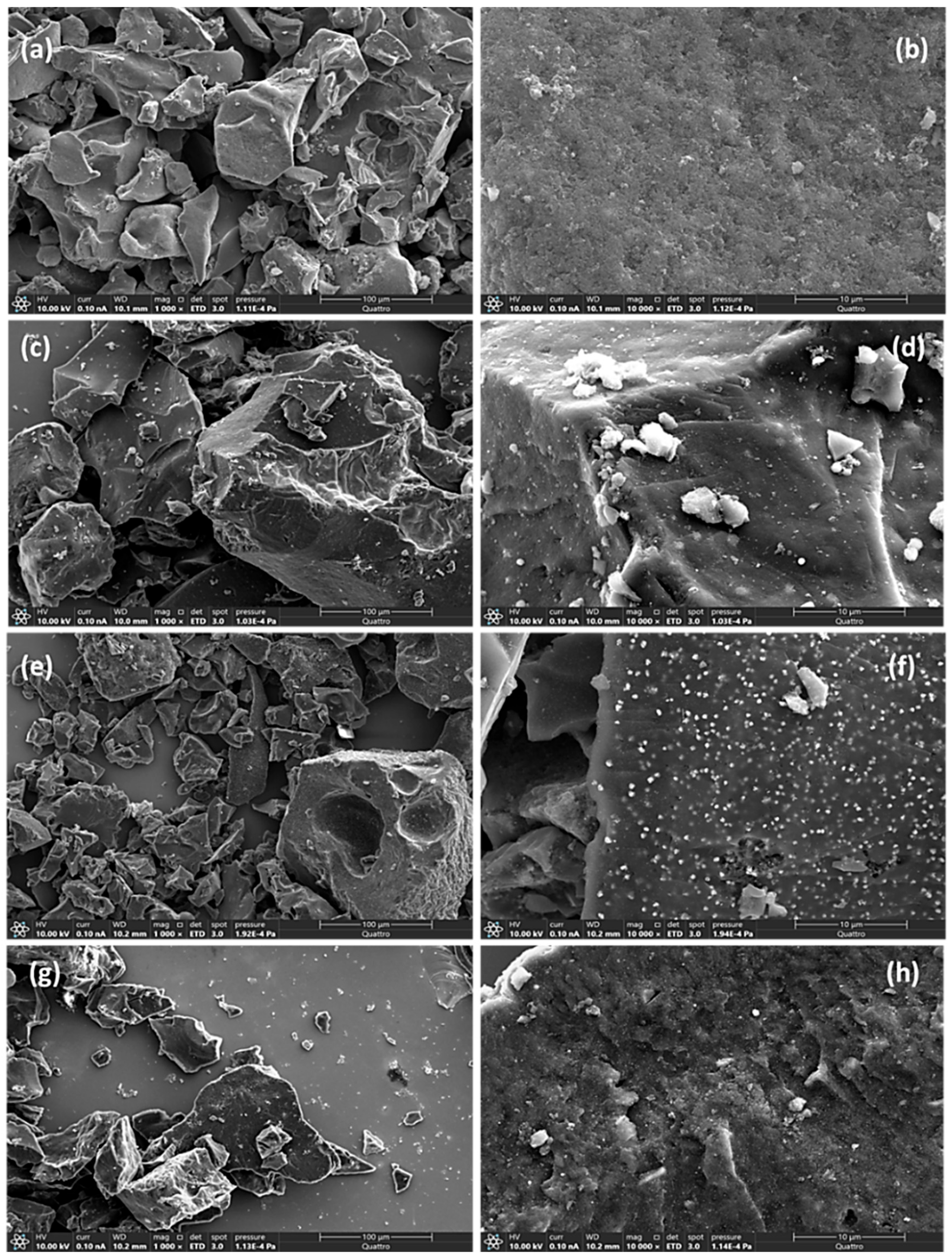Catalysts 15 00385 g003