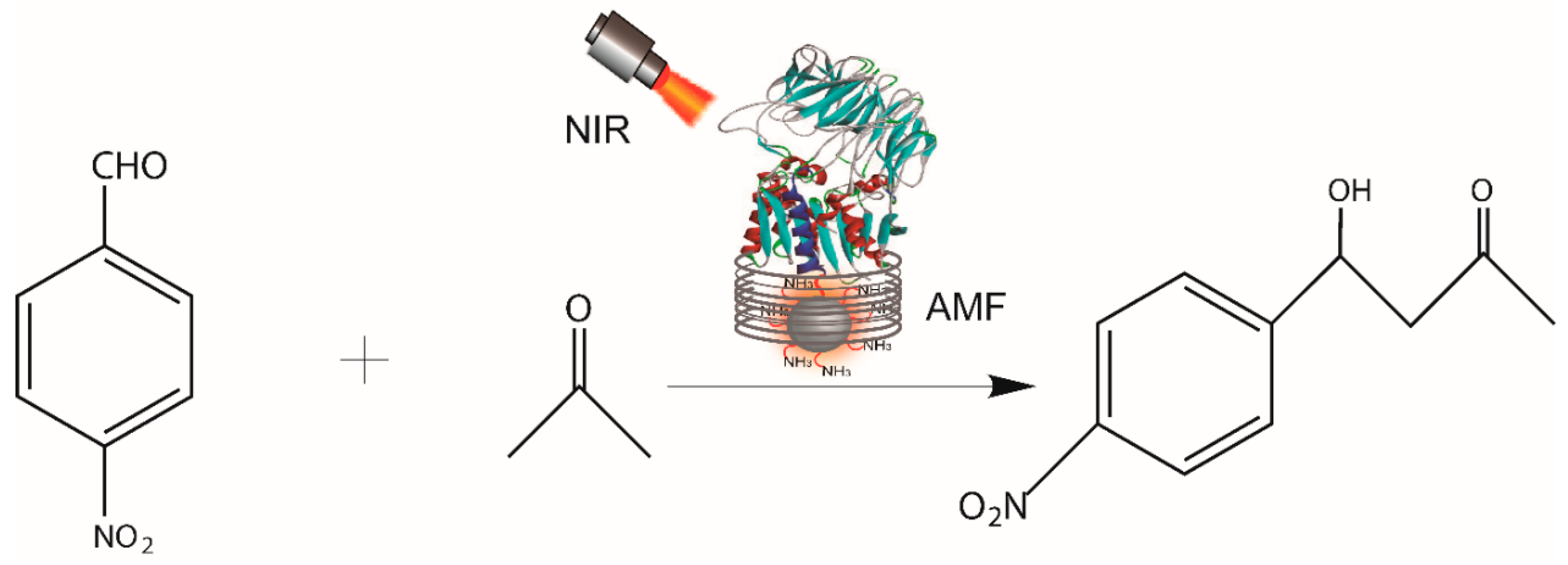 Catalysts 15 00386 sch002