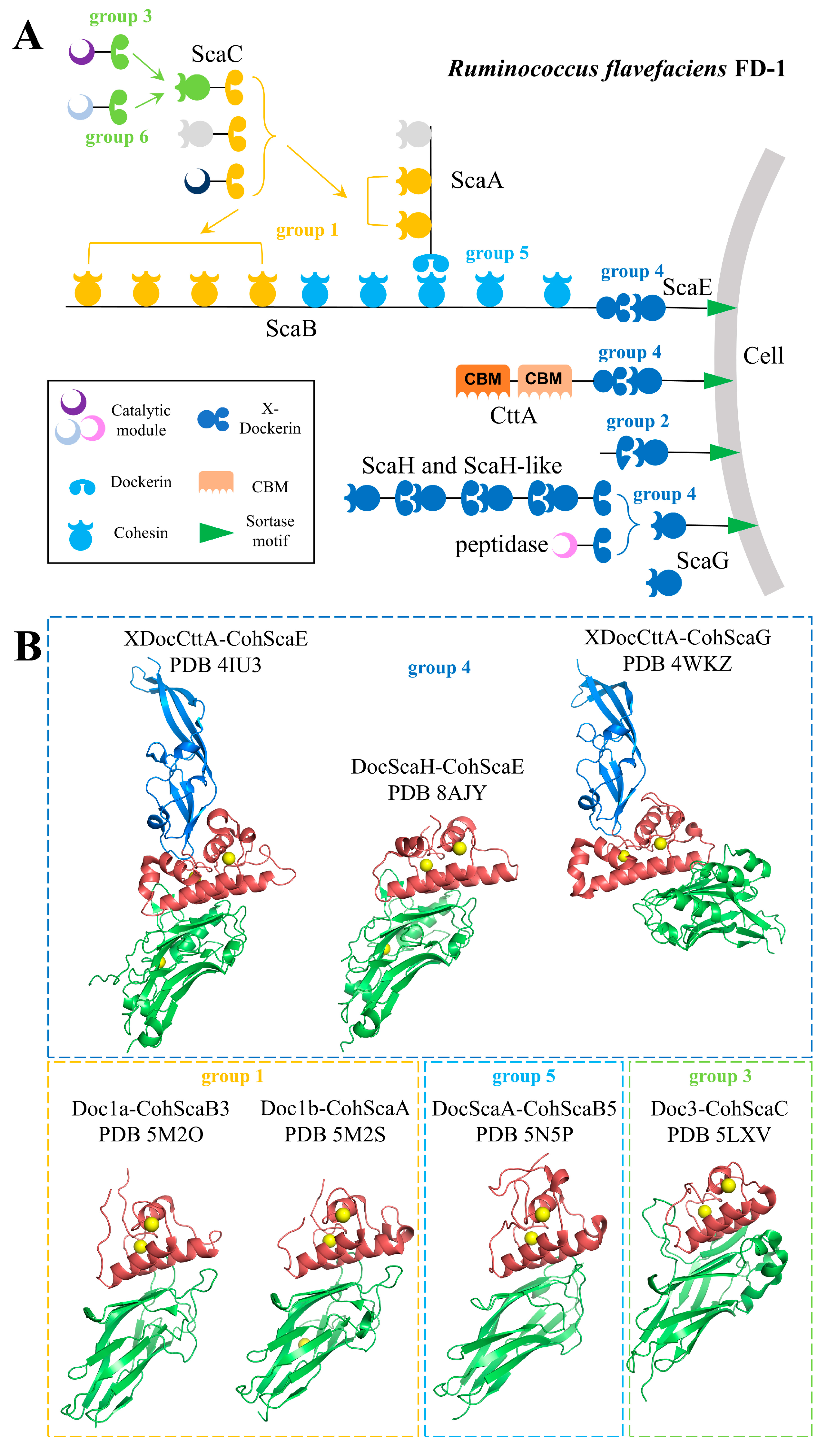 Catalysts 15 00387 g002