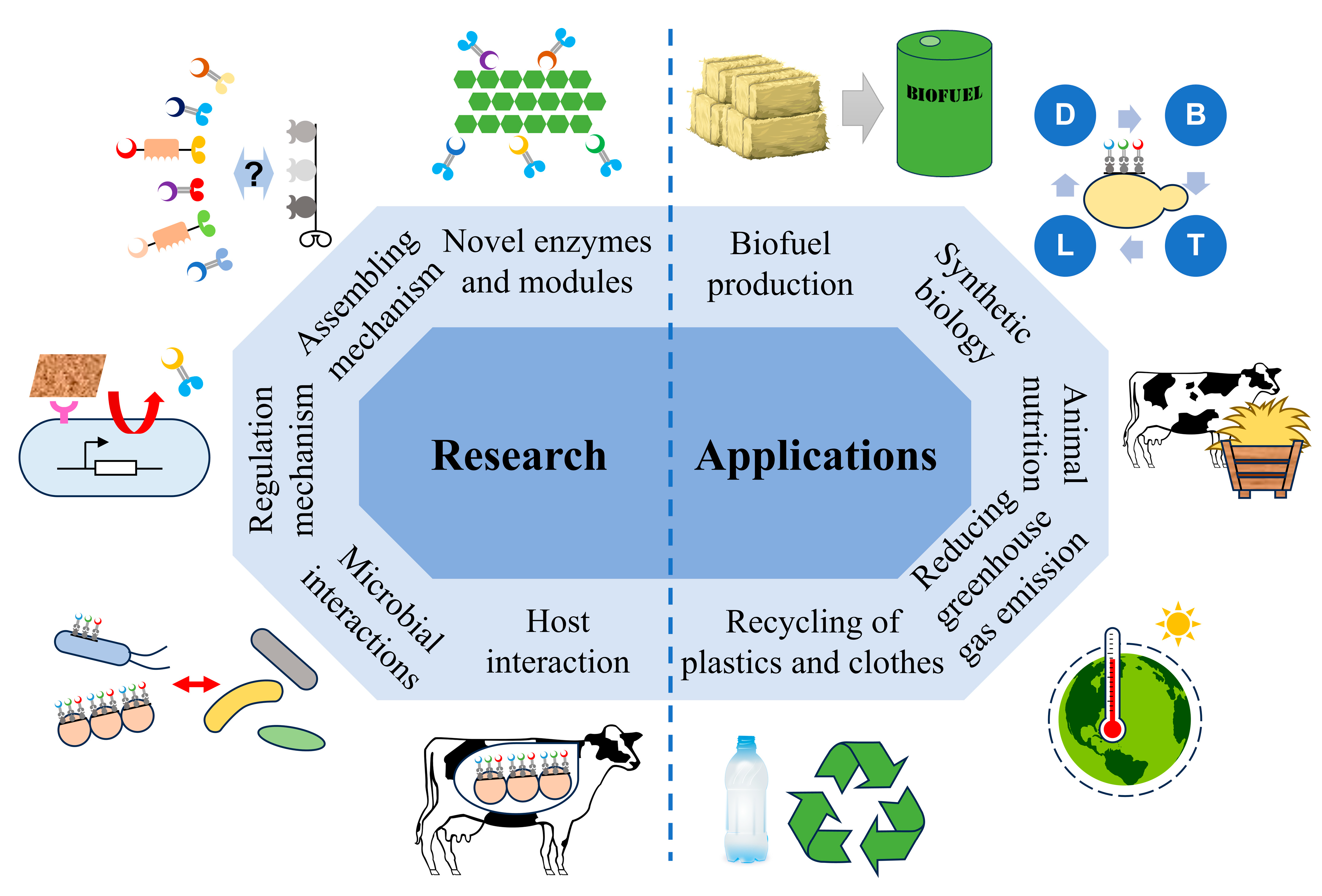 Catalysts 15 00387 g004