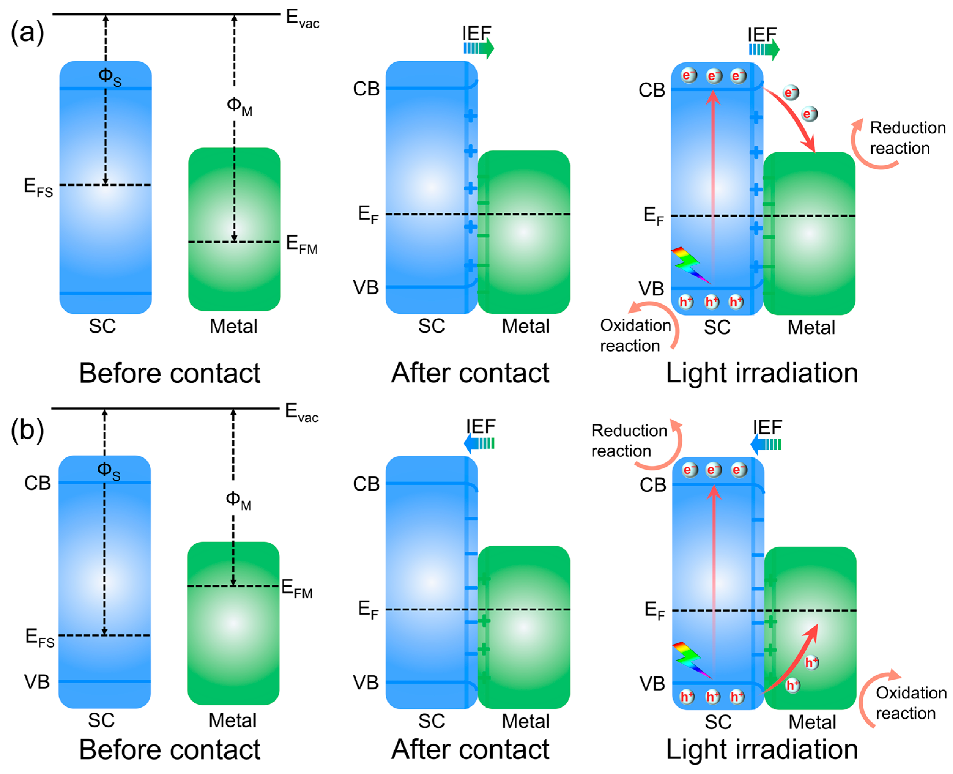 Catalysts 15 00391 g003