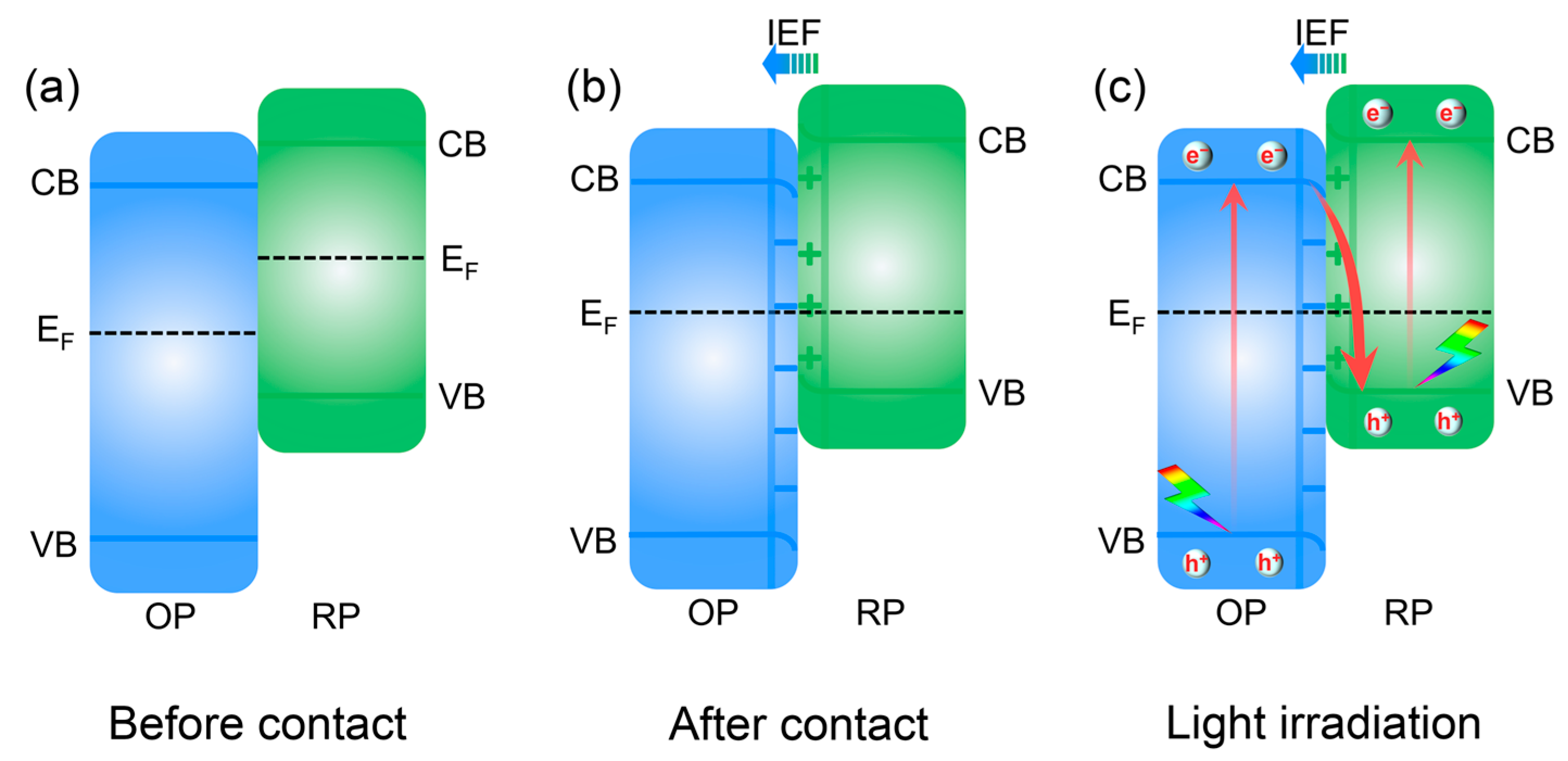 Catalysts 15 00391 g006