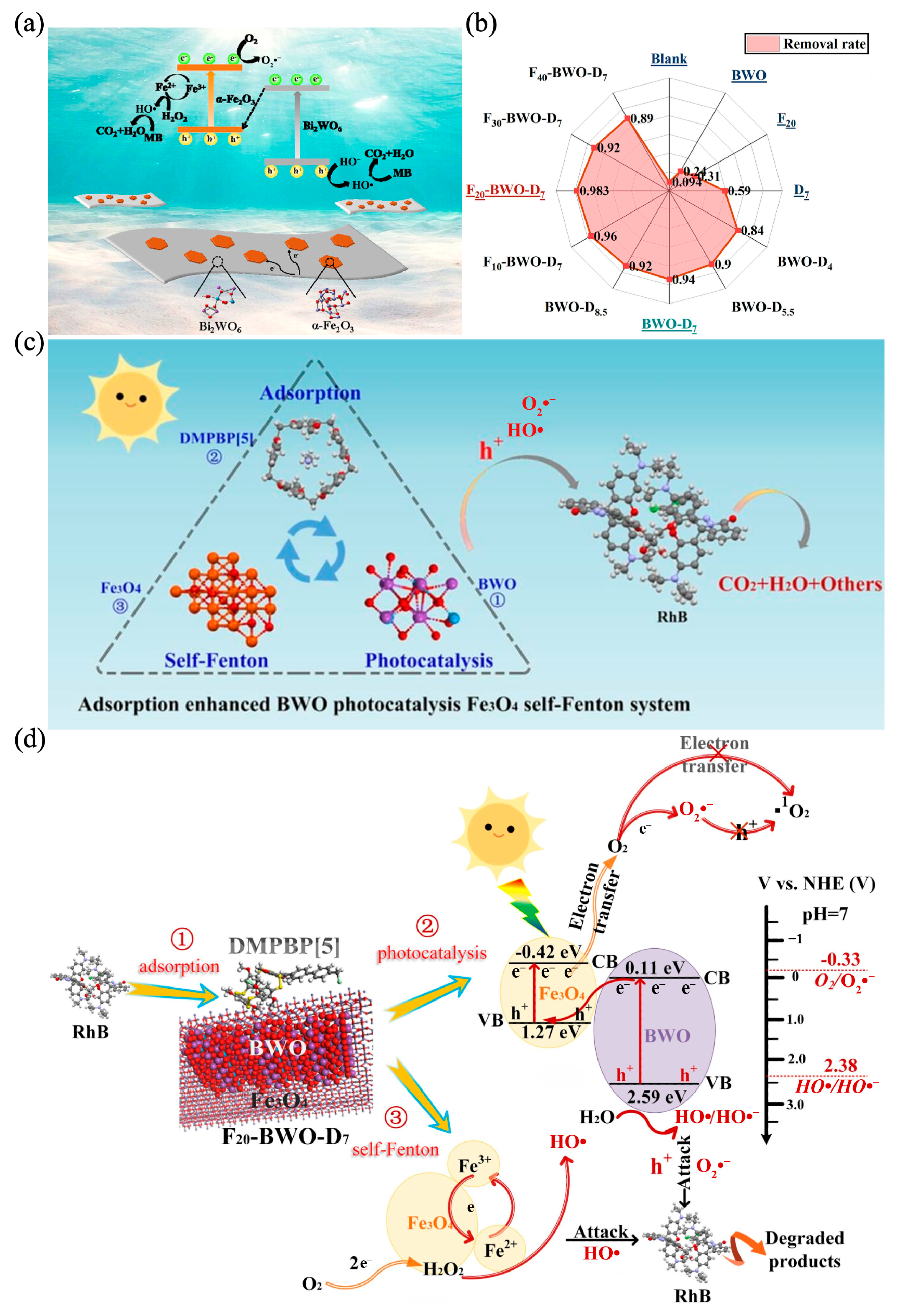 Catalysts 15 00391 g009