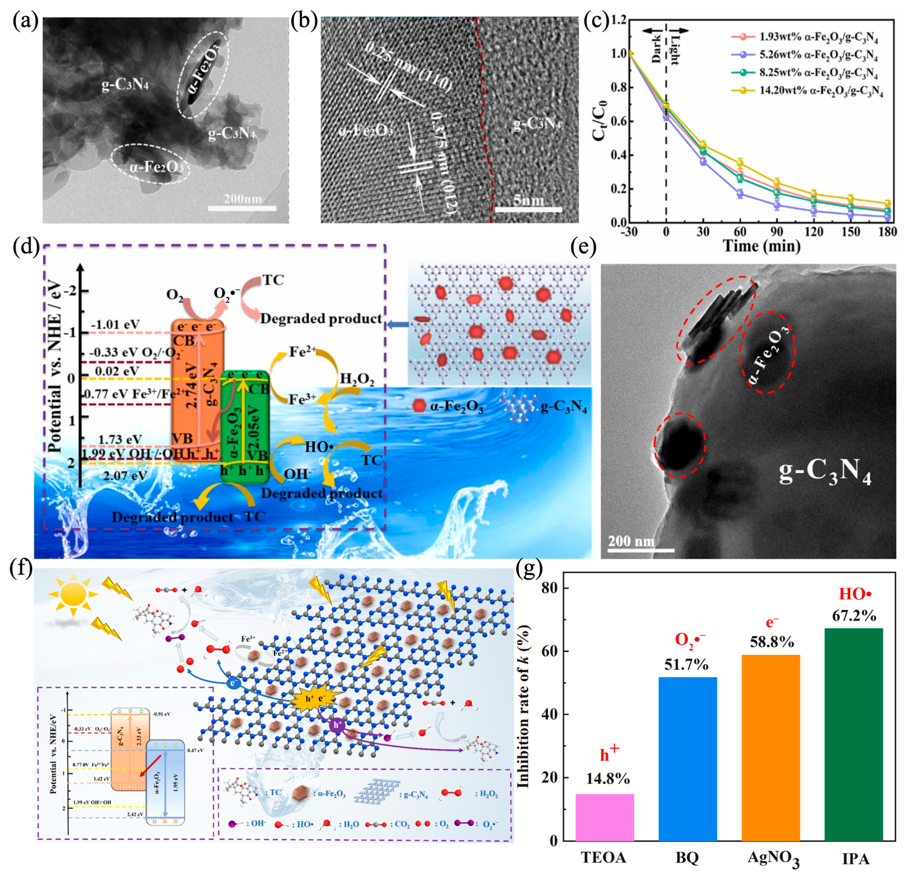 Catalysts 15 00391 g012