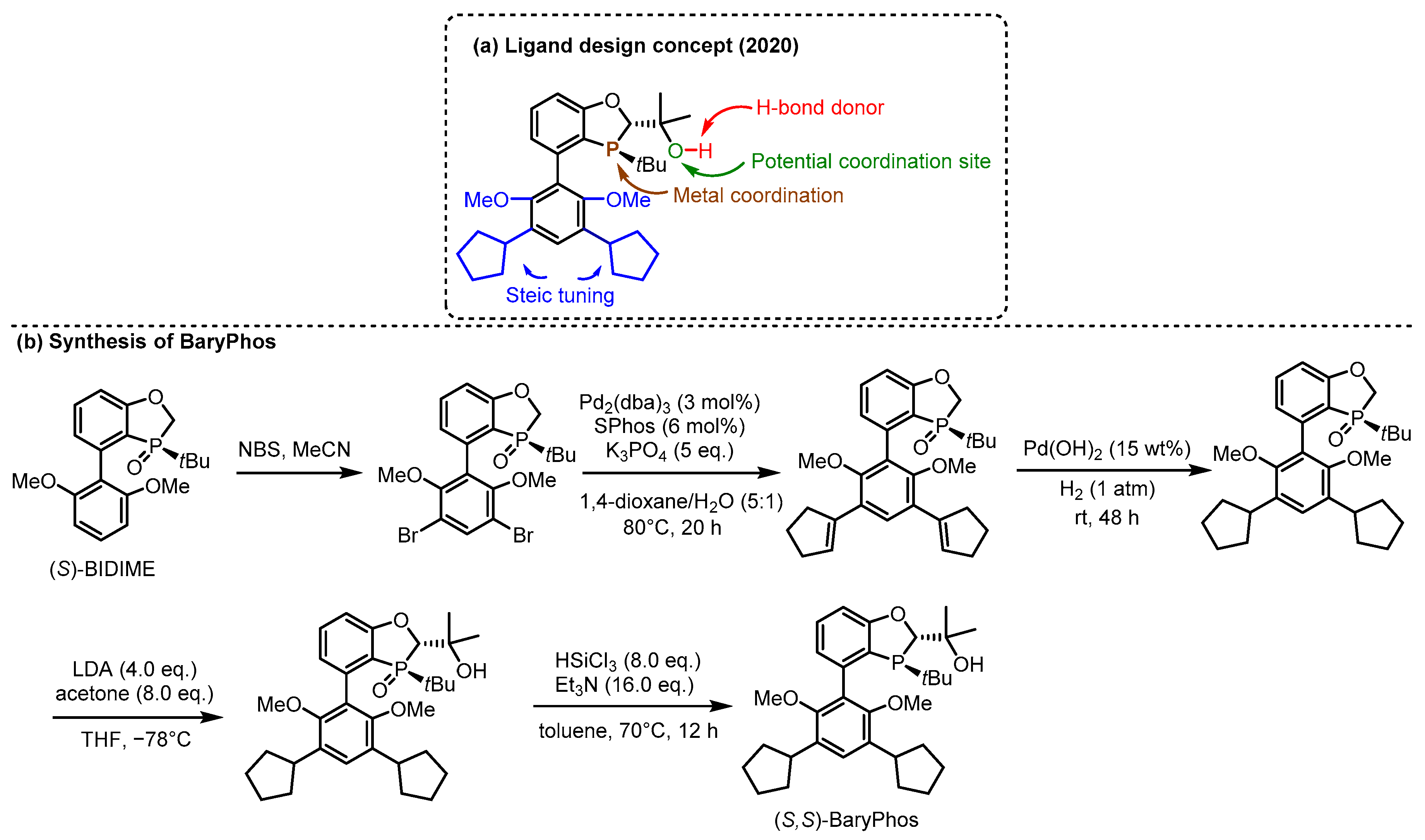 Catalysts 15 00395 g003