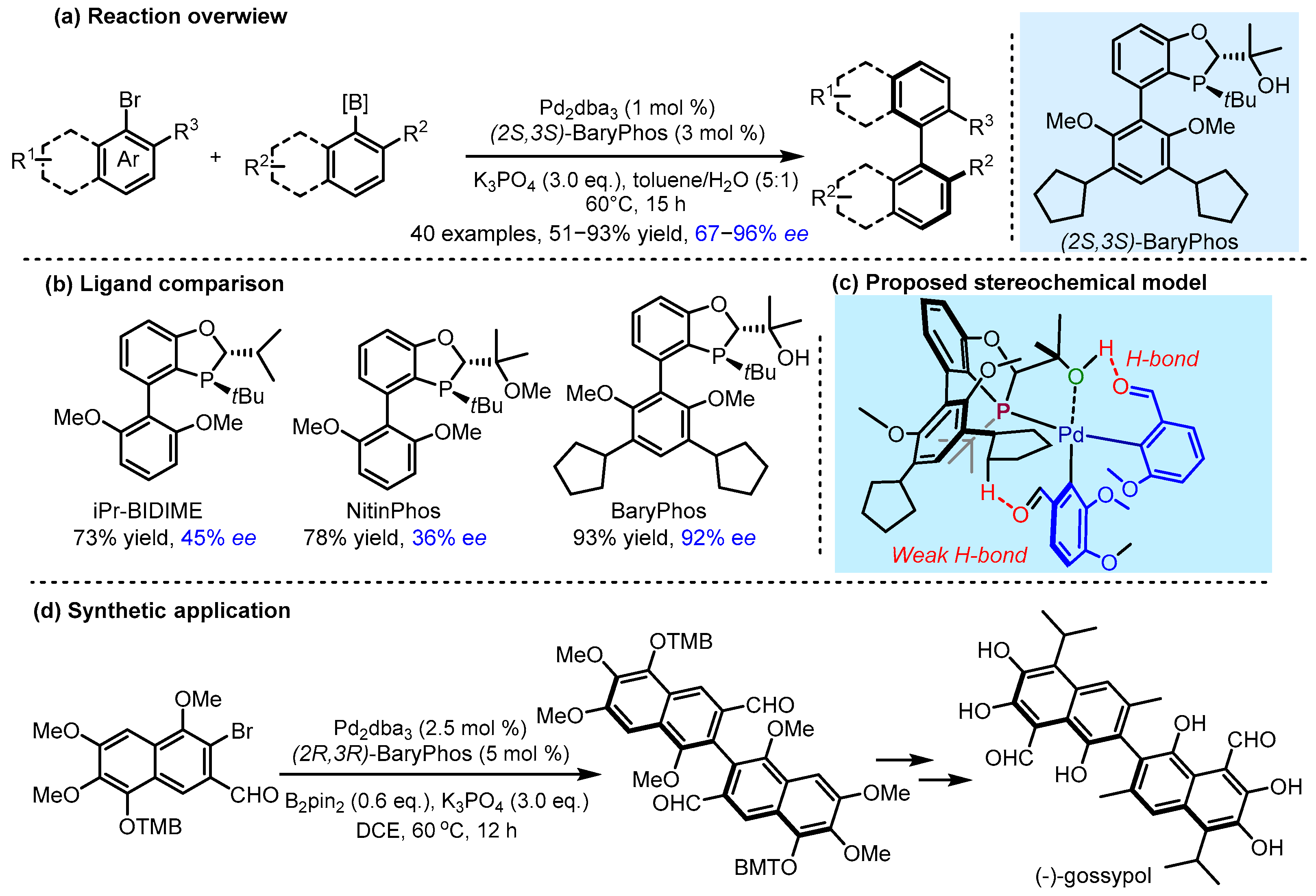 Catalysts 15 00395 g004