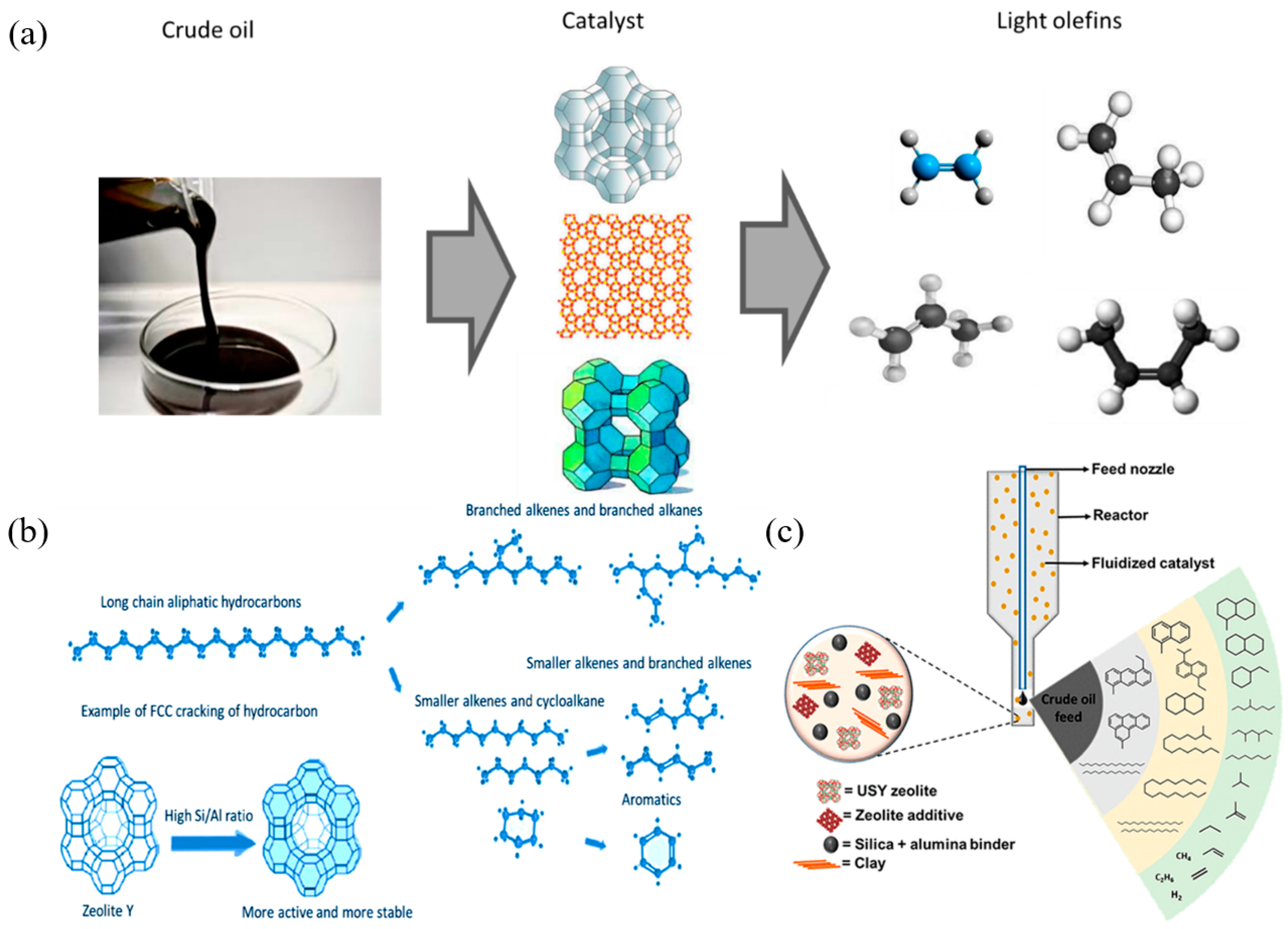 Catalysts 15 00401 g002