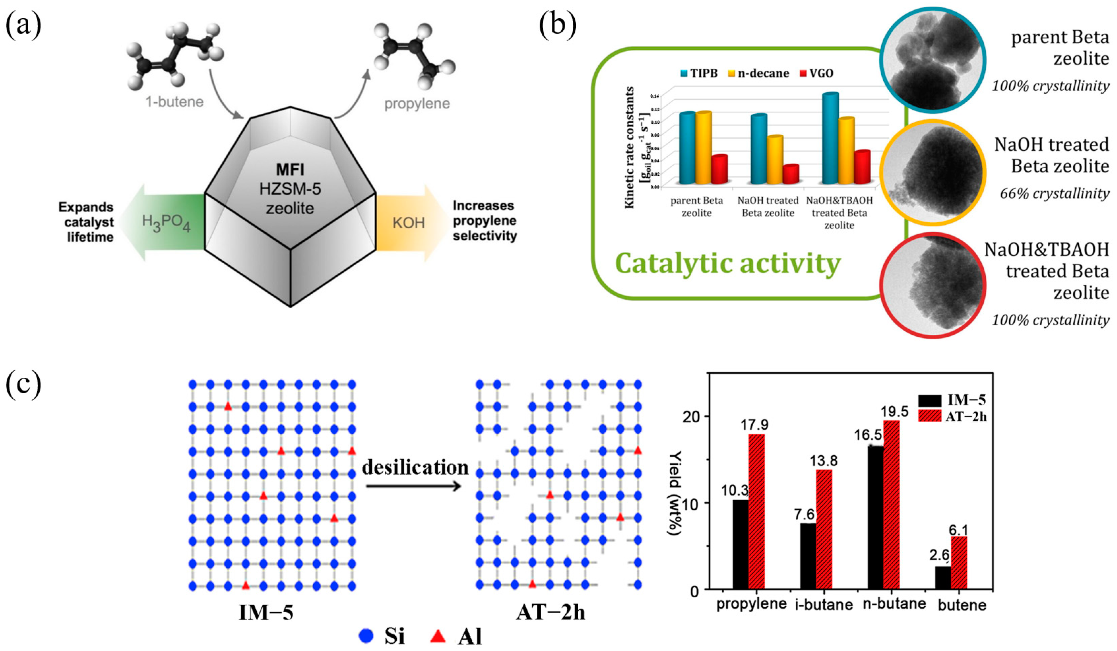 Catalysts 15 00401 g013