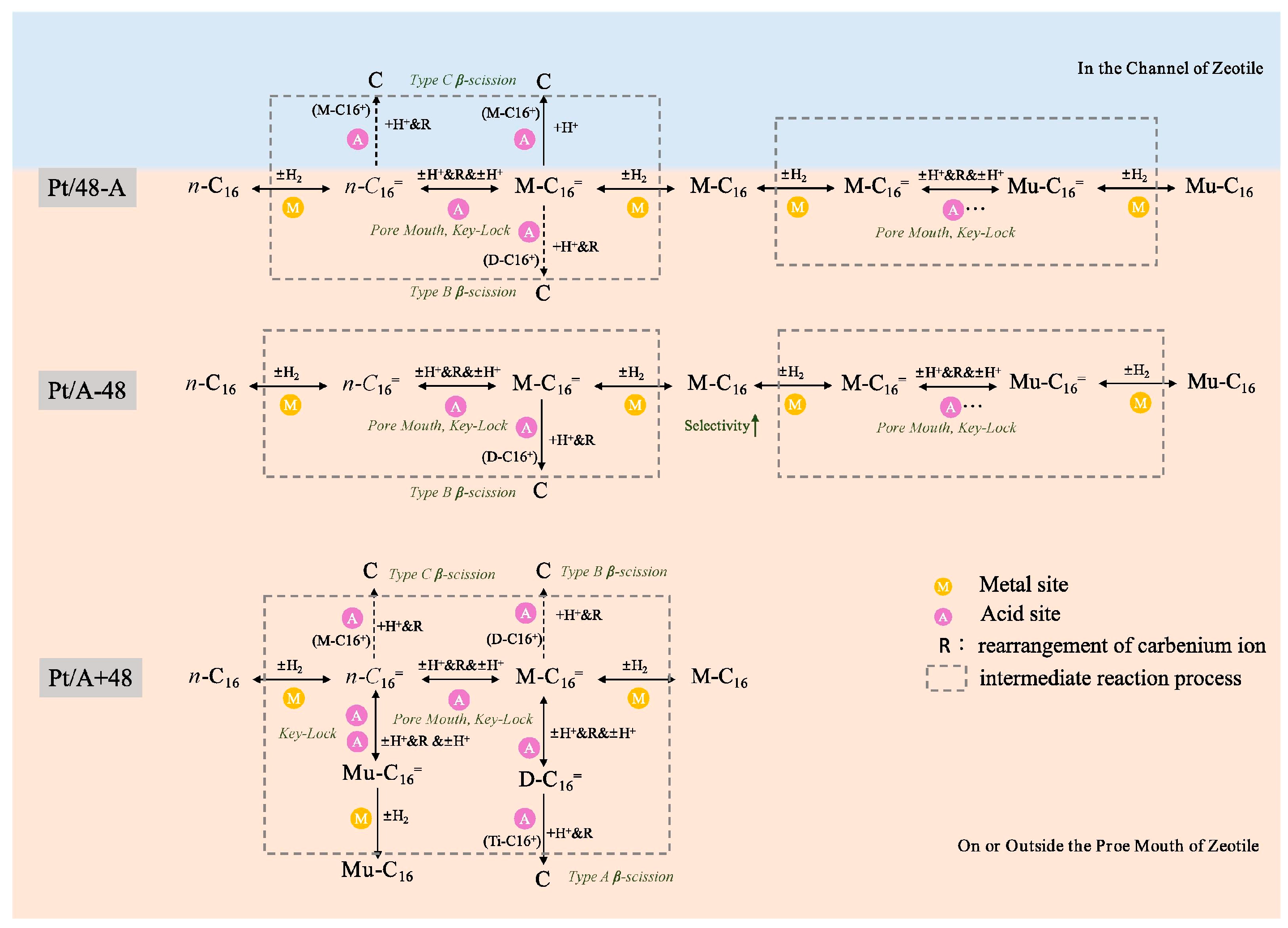 Catalysts 15 00401 g030