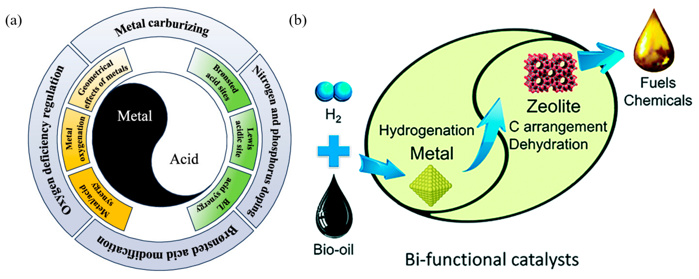 Catalysts 15 00401 g037