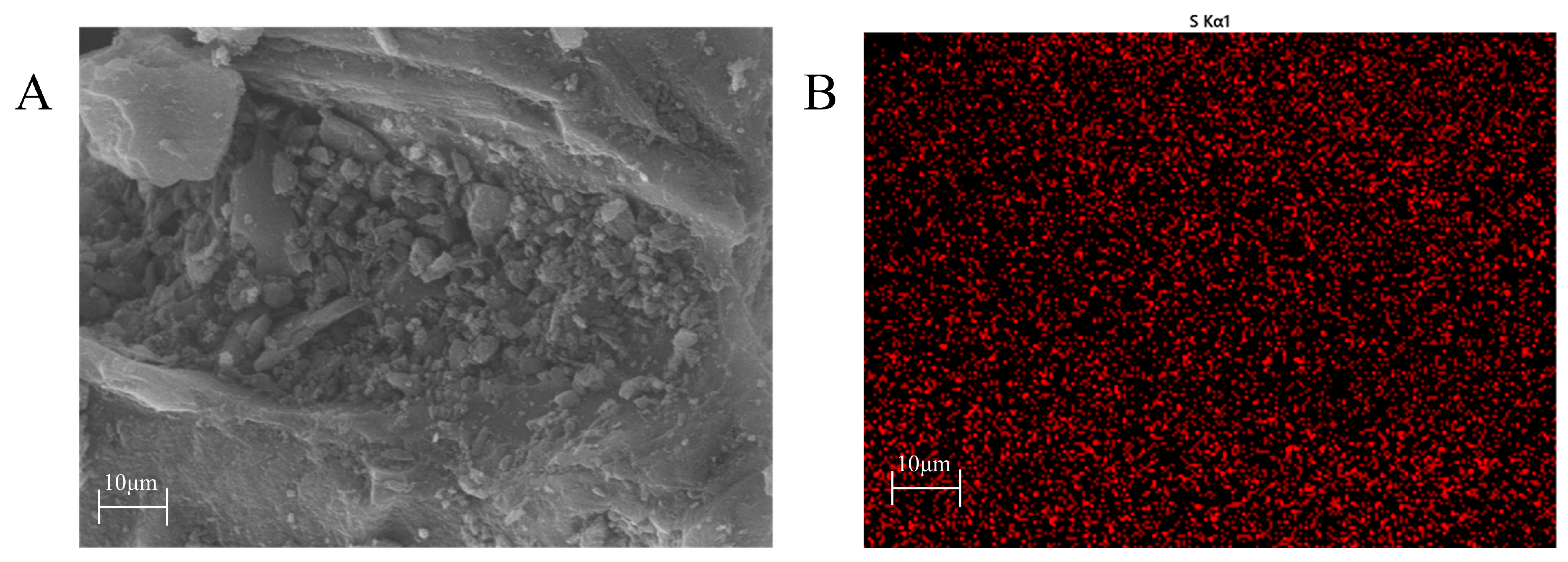 Catalysts 15 00402 g005