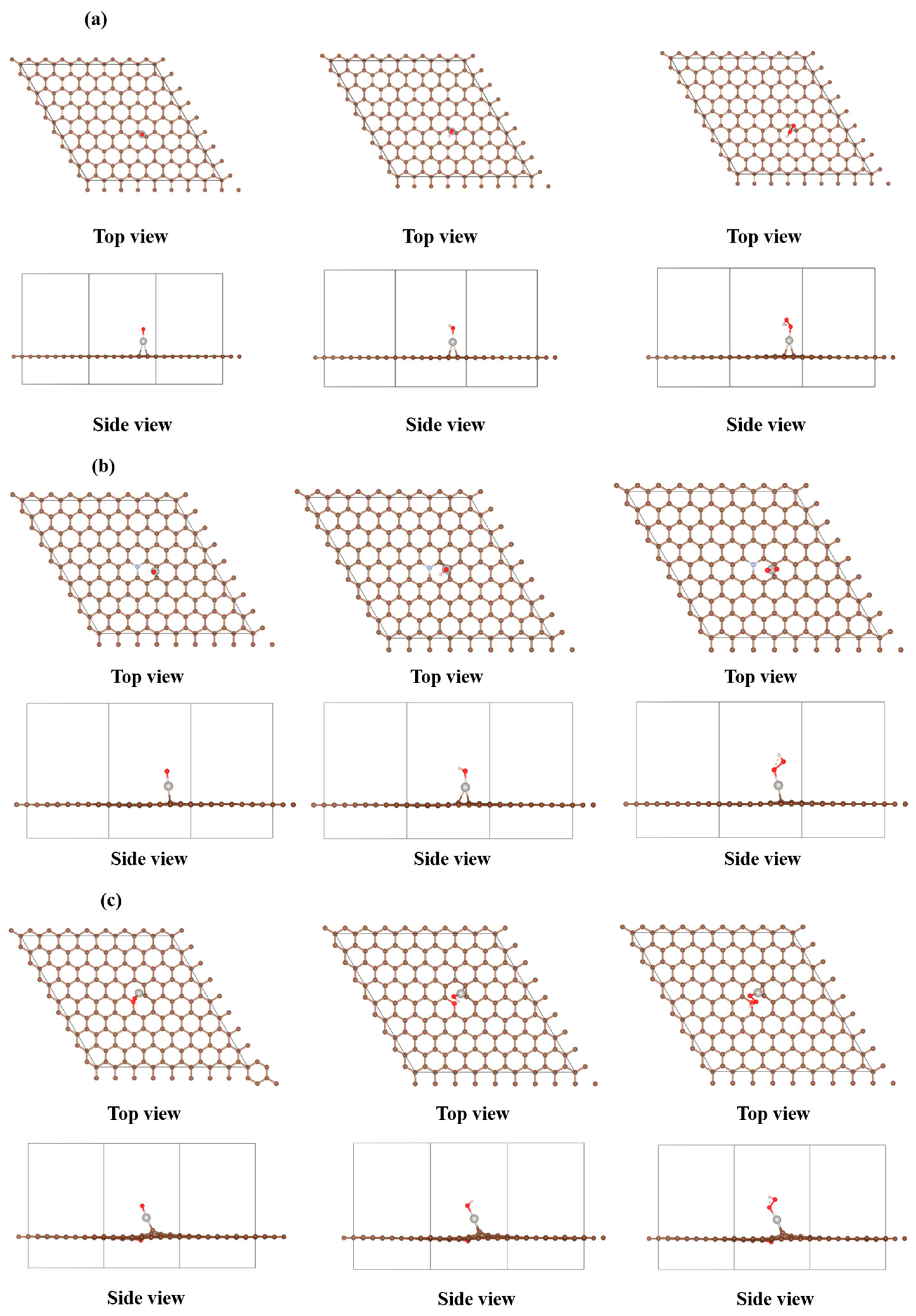 Catalysts 15 00403 g001