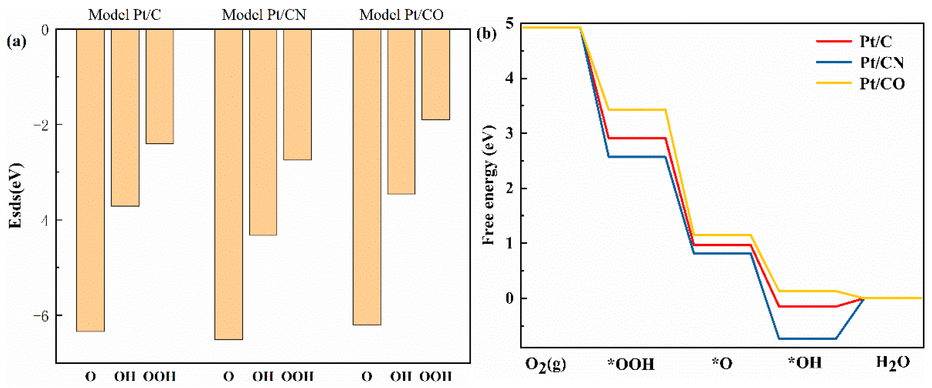 Catalysts 15 00403 g002