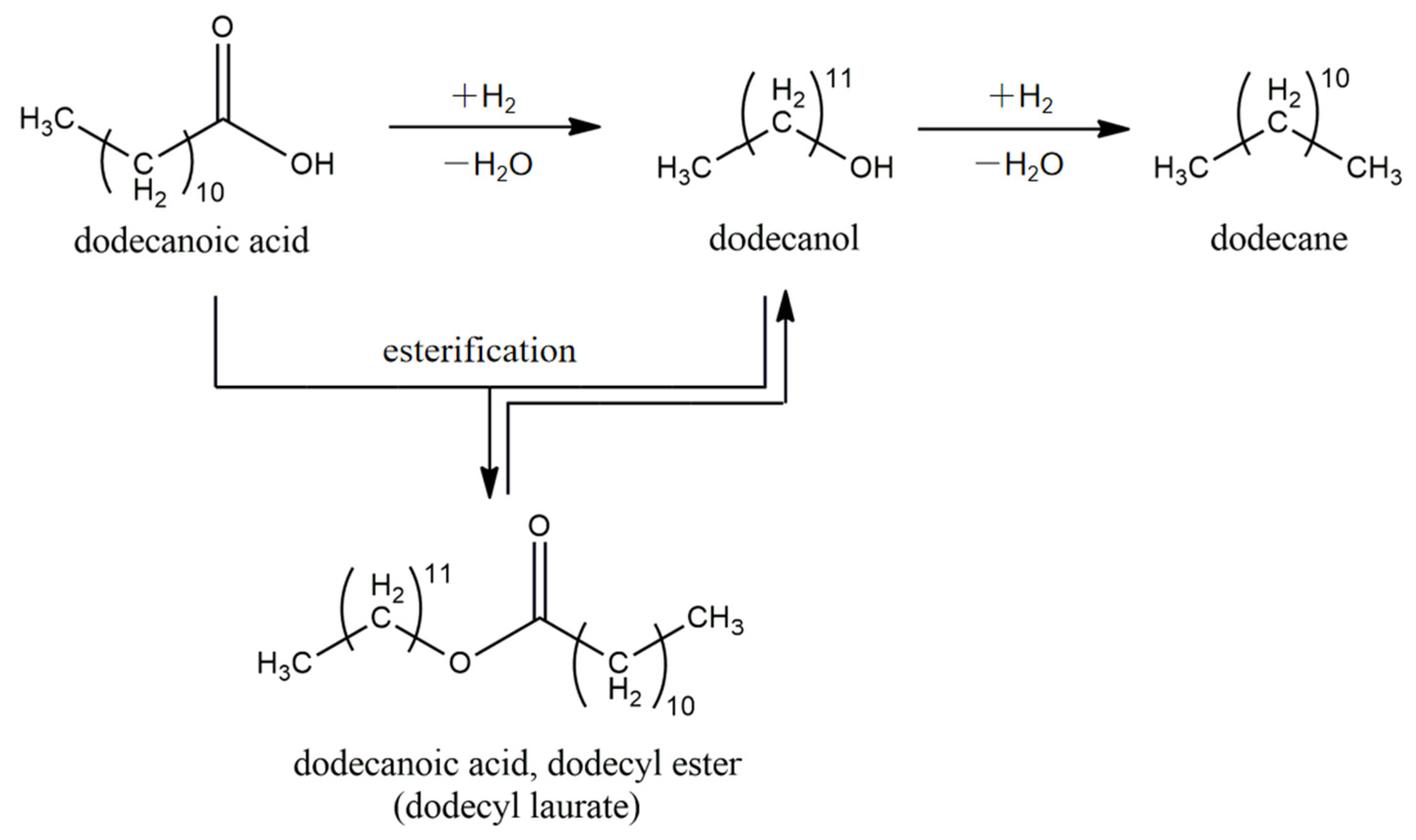 Catalysts 15 00404 sch001
