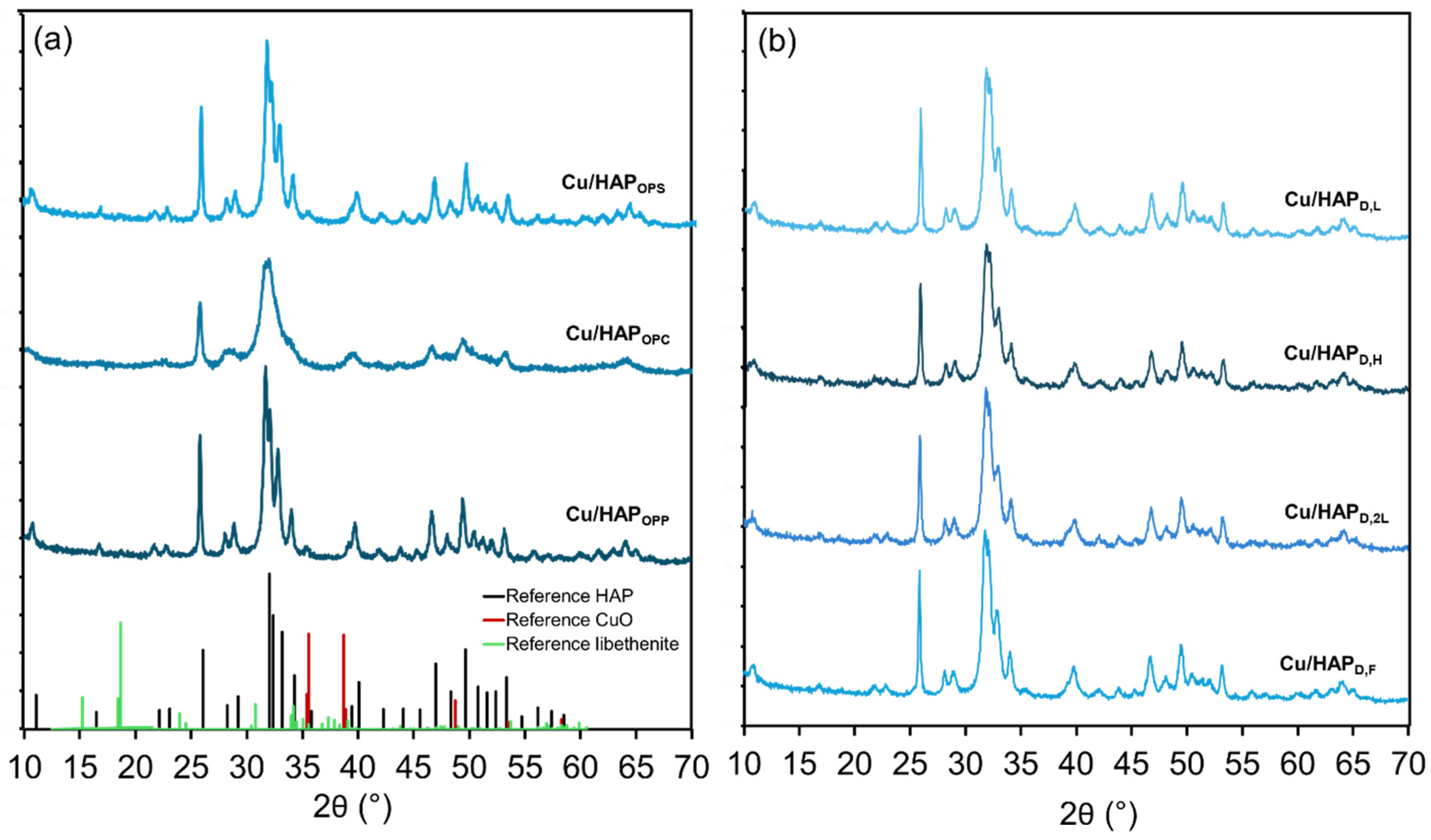 Catalysts 15 00405 g001
