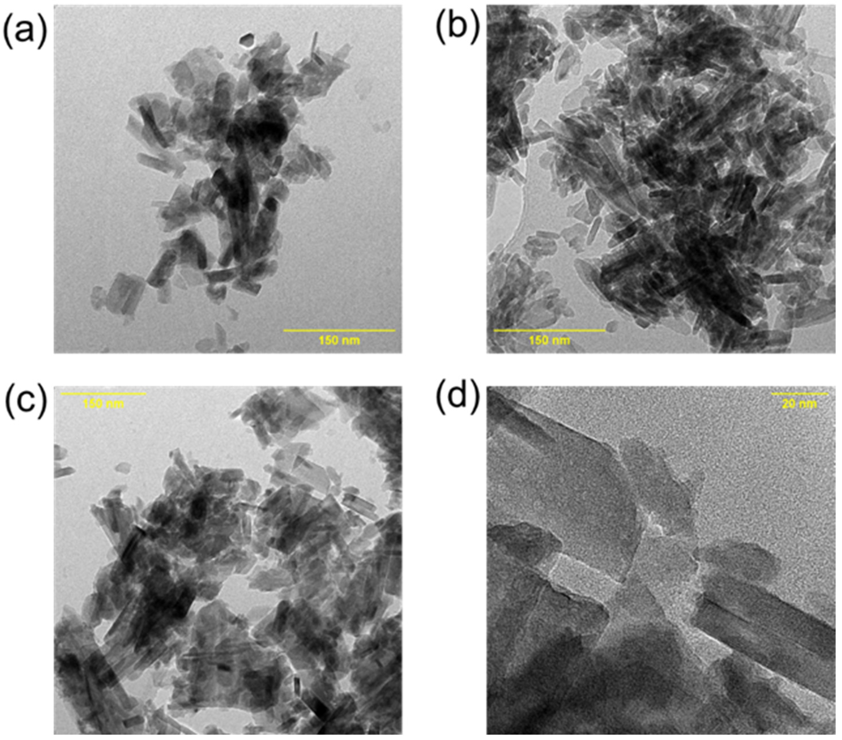 Catalysts 15 00405 g004
