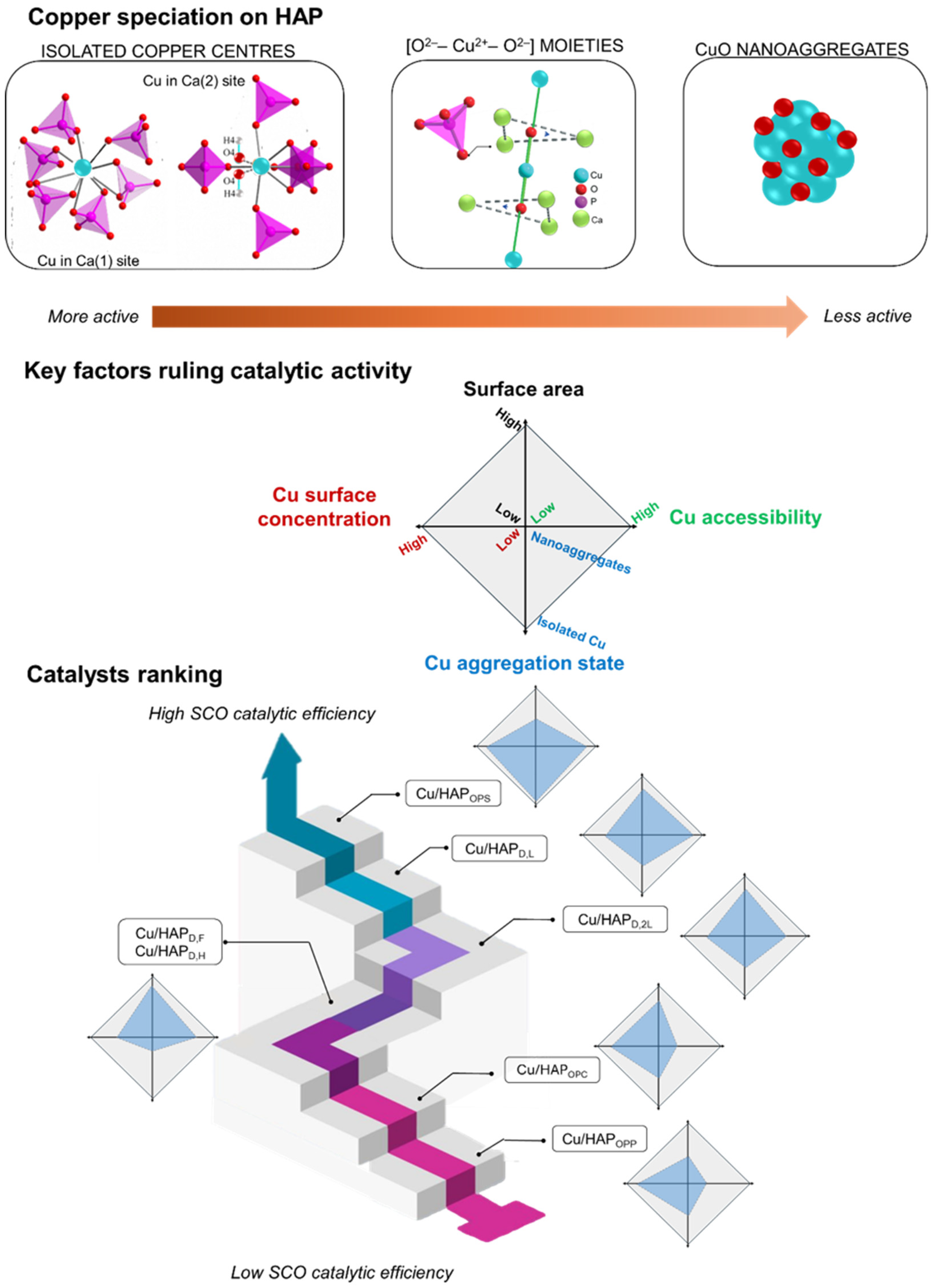 Catalysts 15 00405 g006