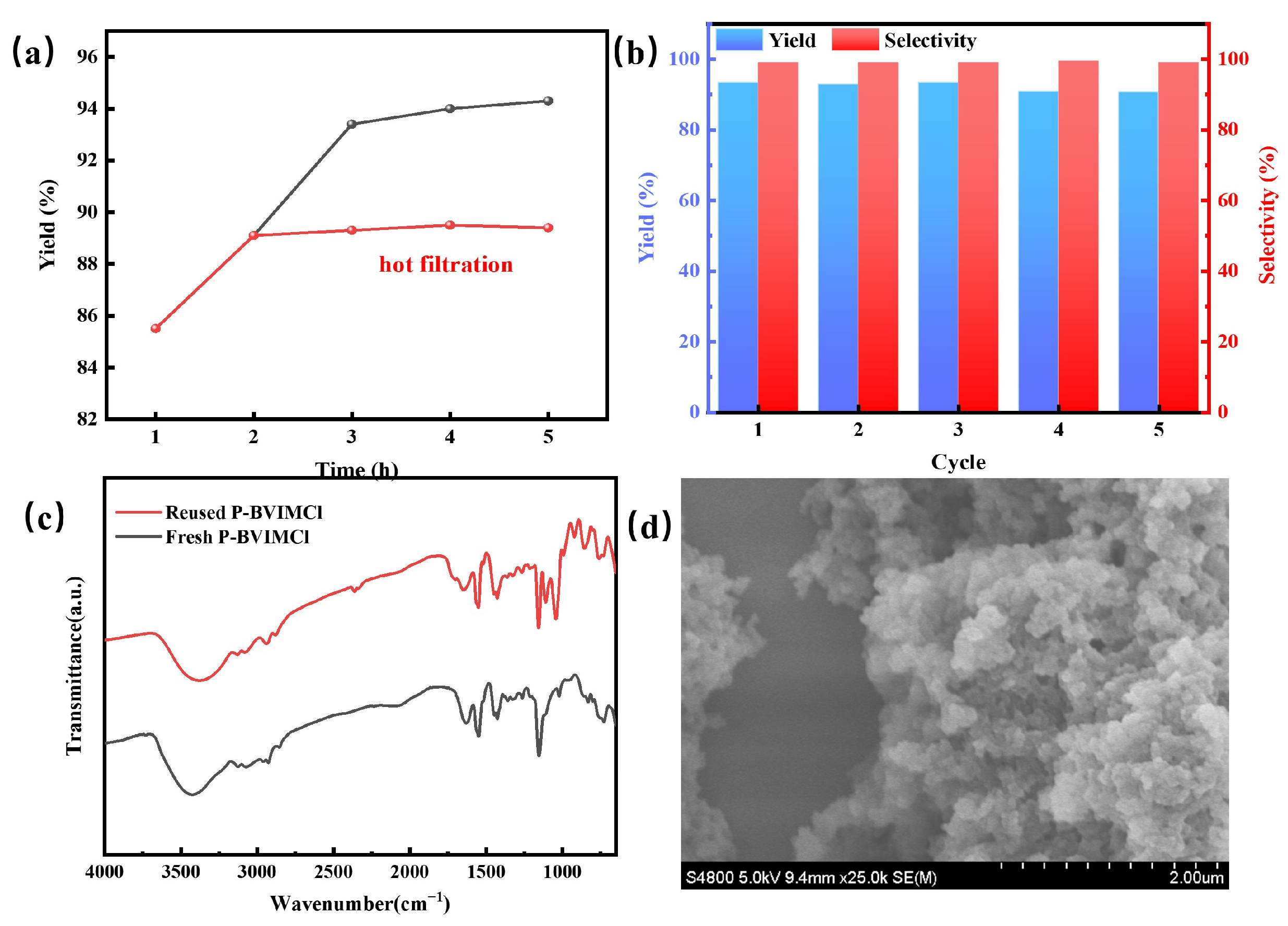 Catalysts 15 00406 g007