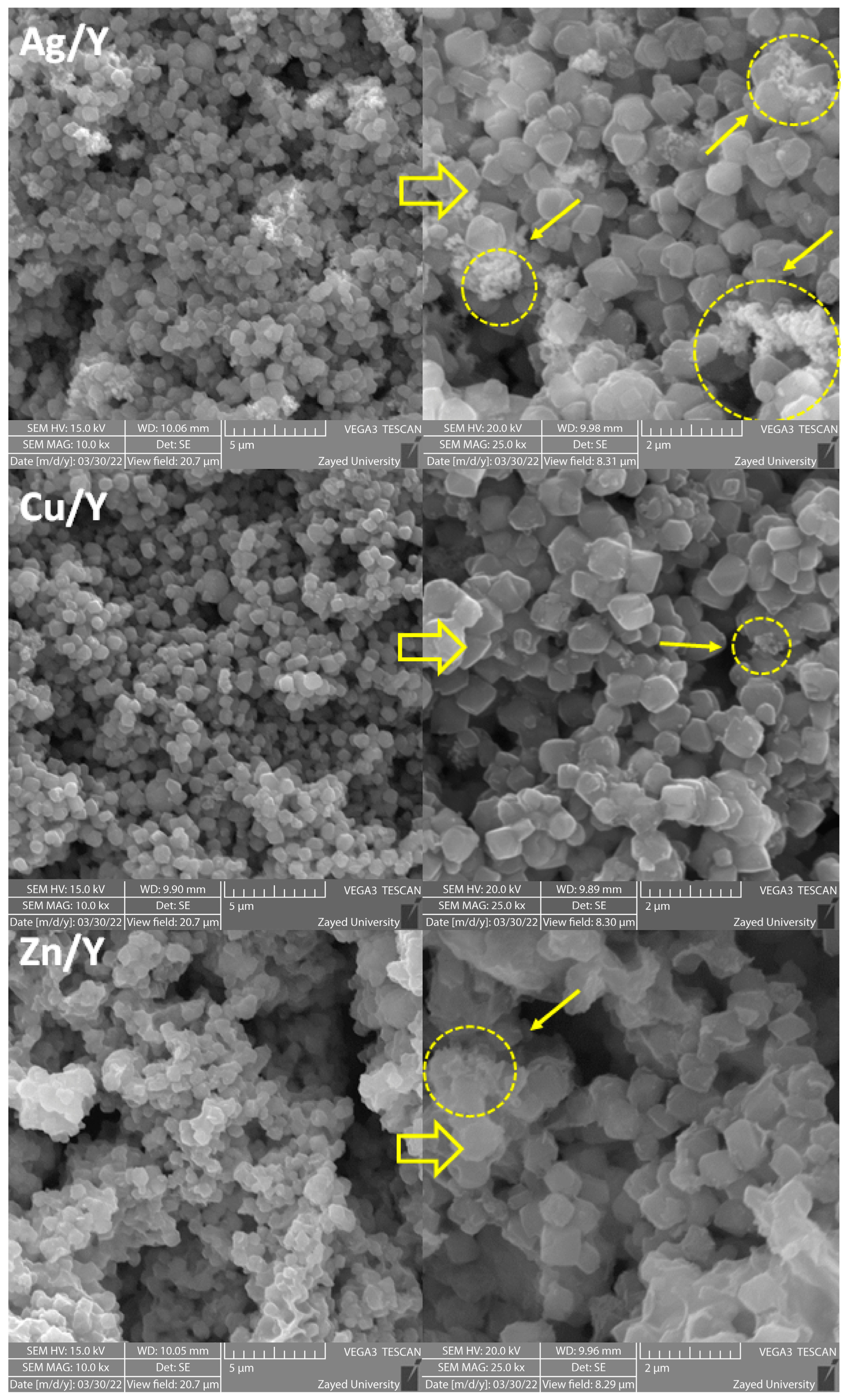 Catalysts 15 00407 g002