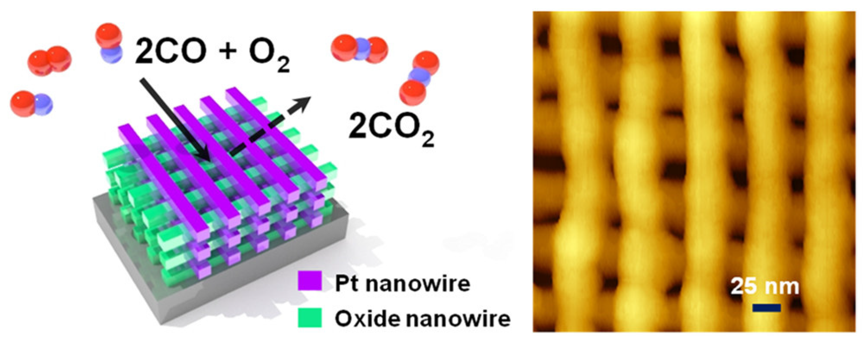 Catalysts 15 00415 g002