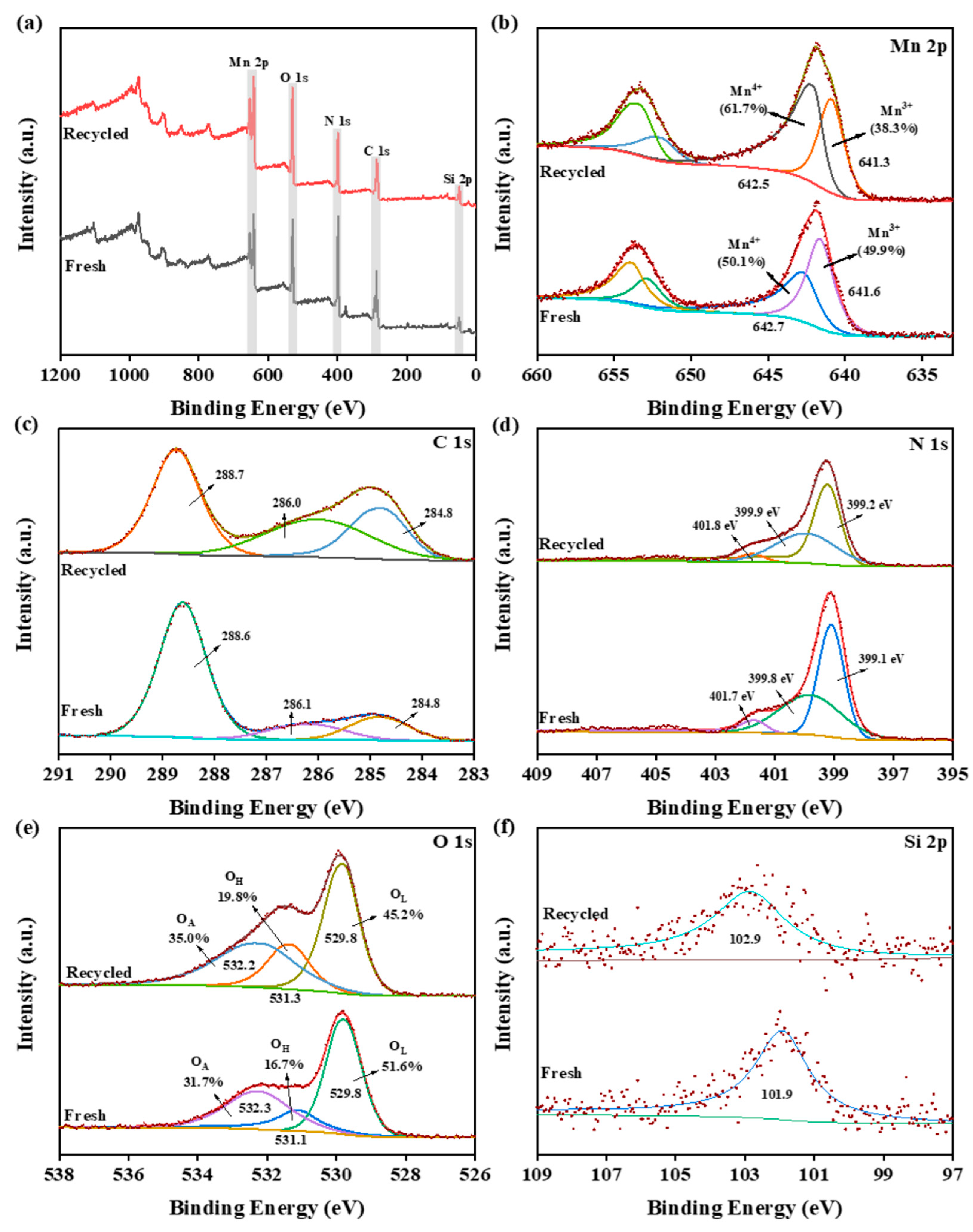 Catalysts 15 00419 g002