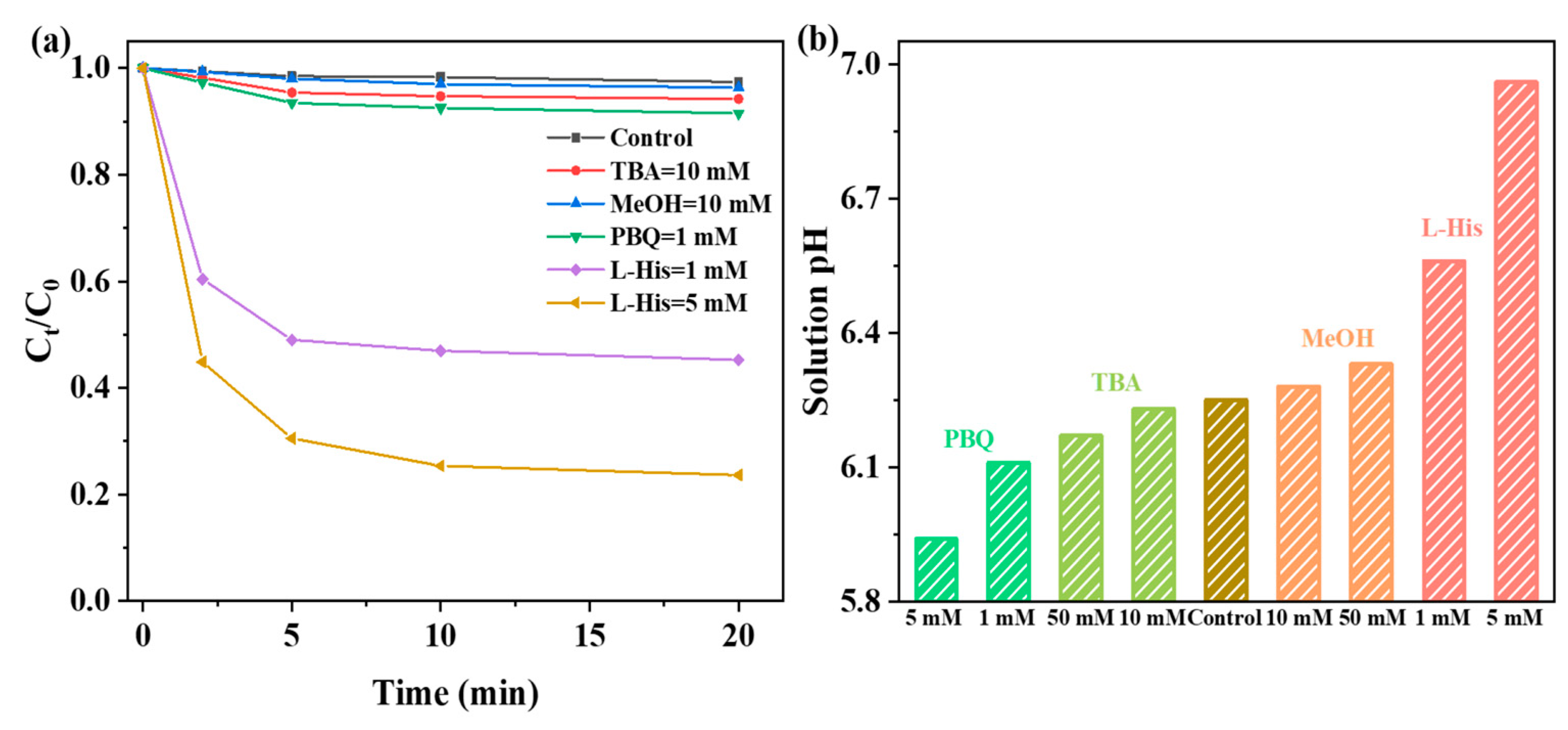Catalysts 15 00419 g010