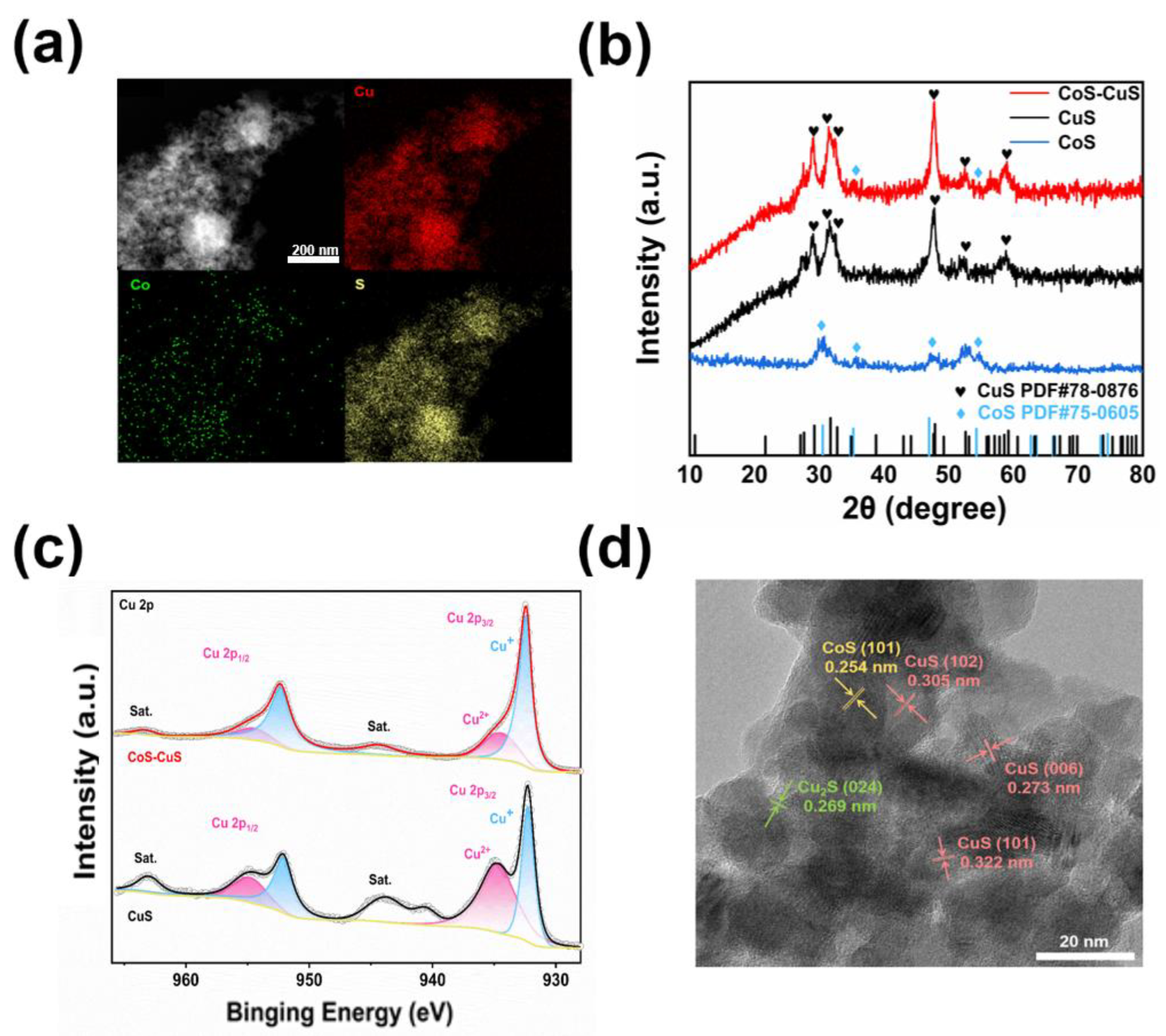 Catalysts 15 00422 g002