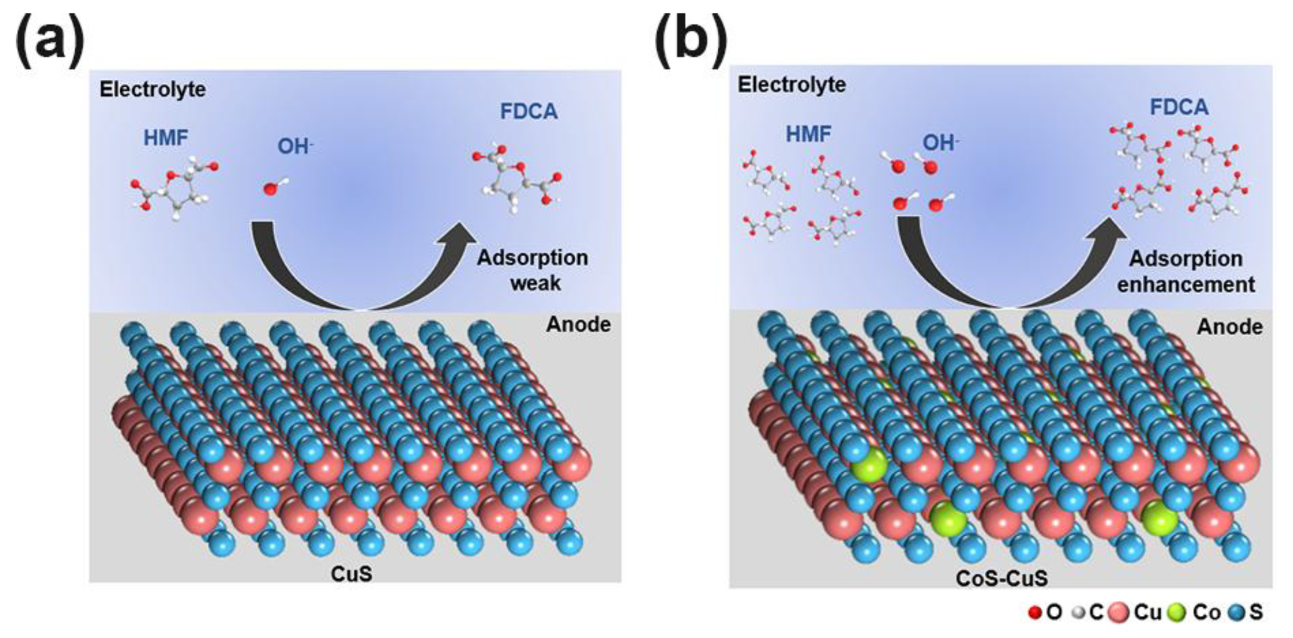 Catalysts 15 00422 g007