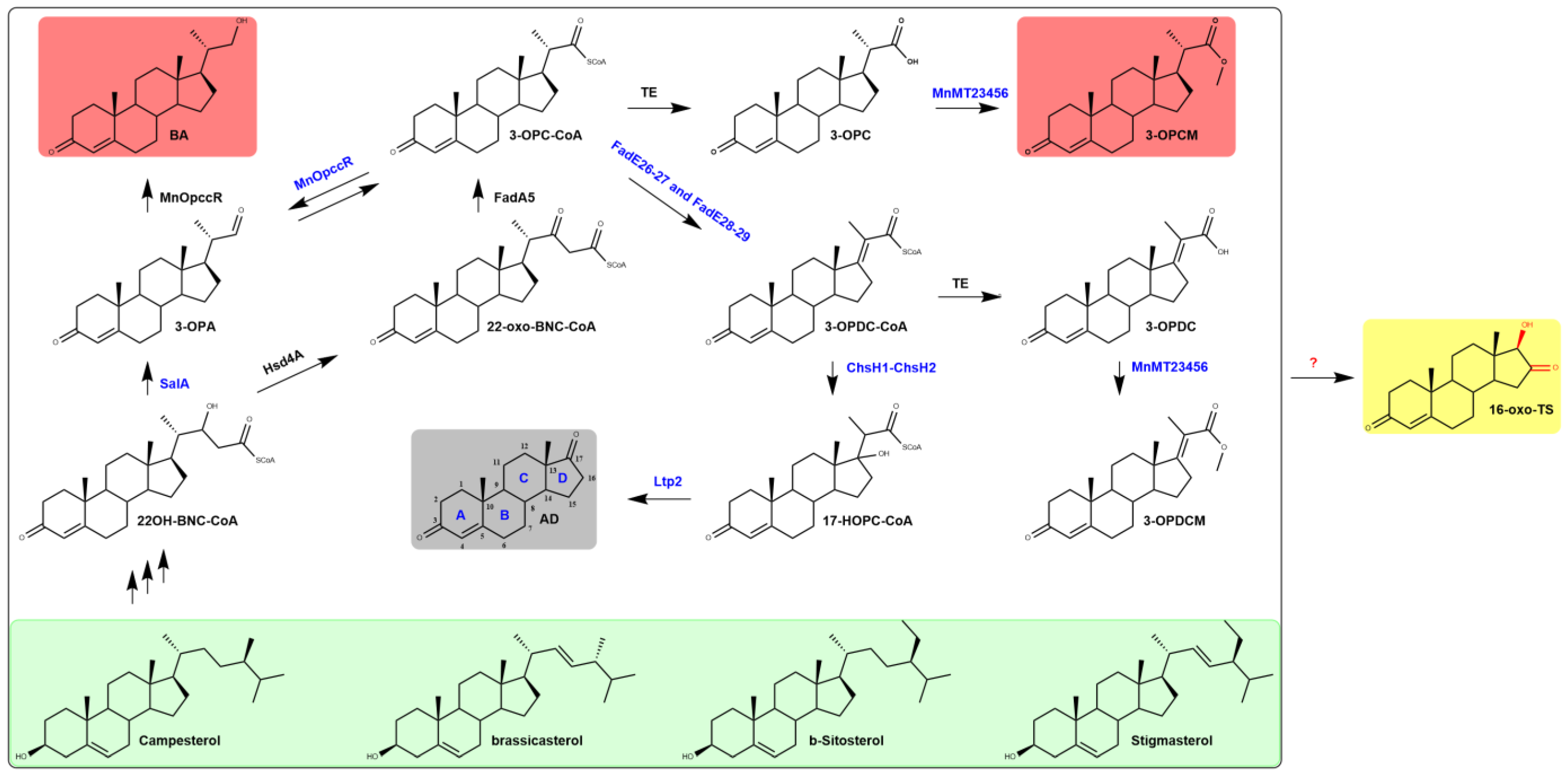 Catalysts 15 00423 g001