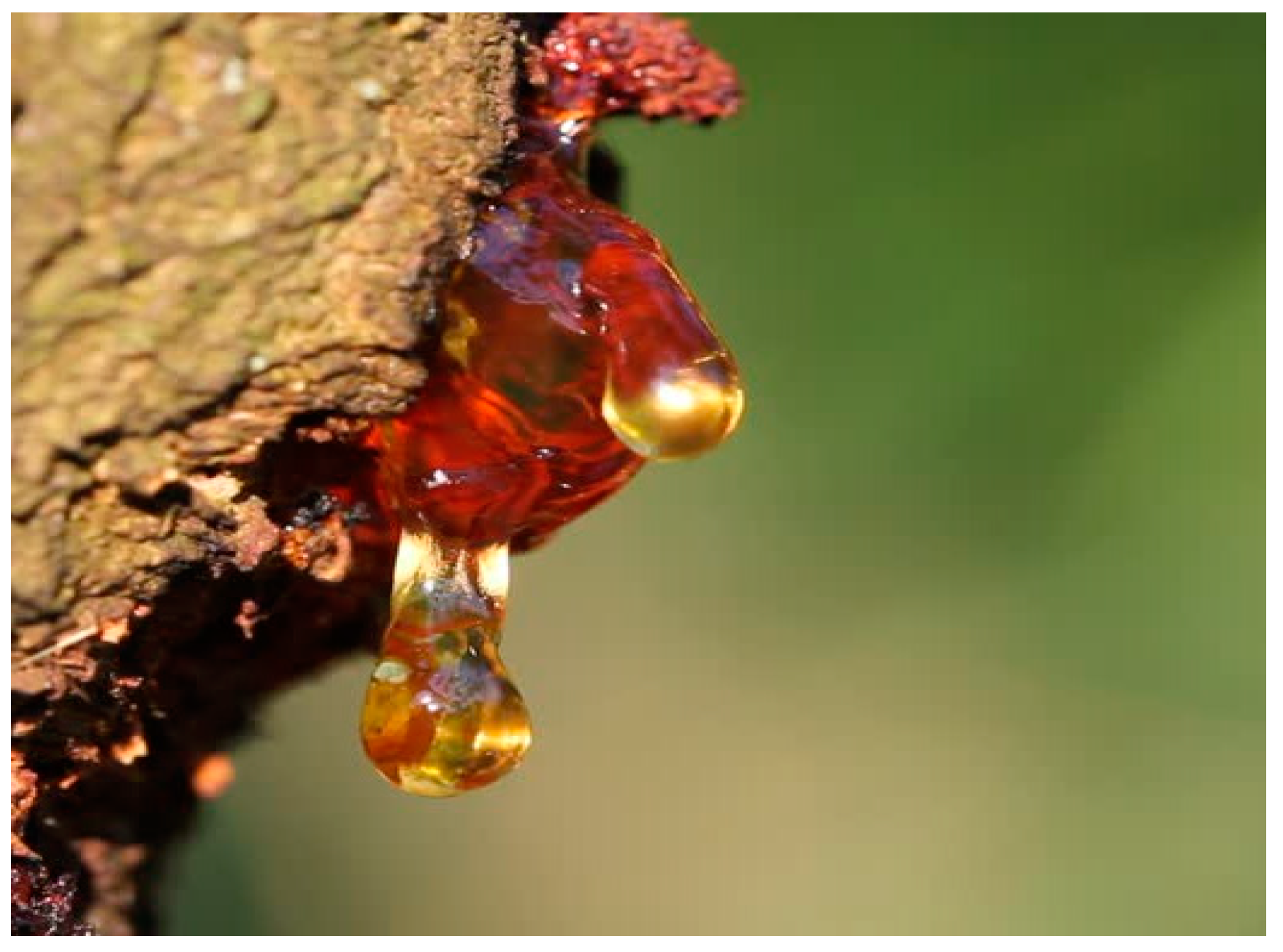 Catalysts 15 00425 g010