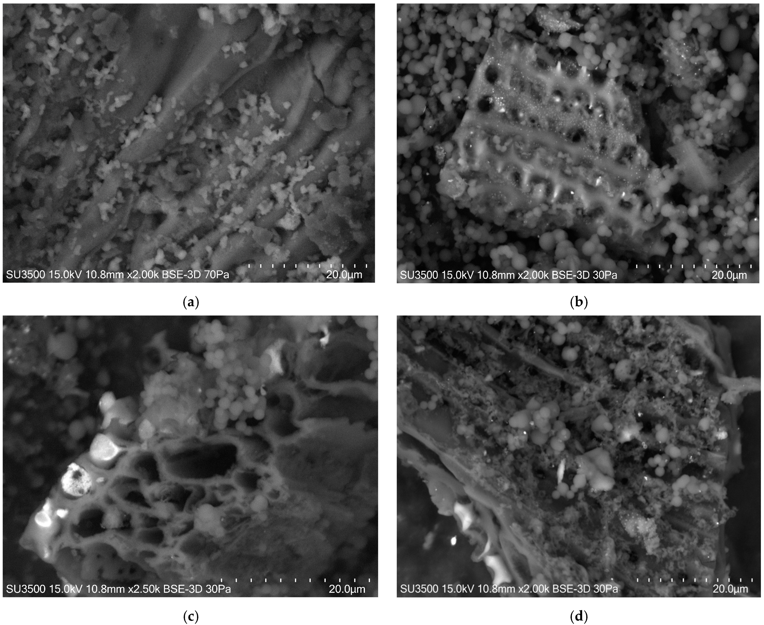 Catalysts 15 00433 g001