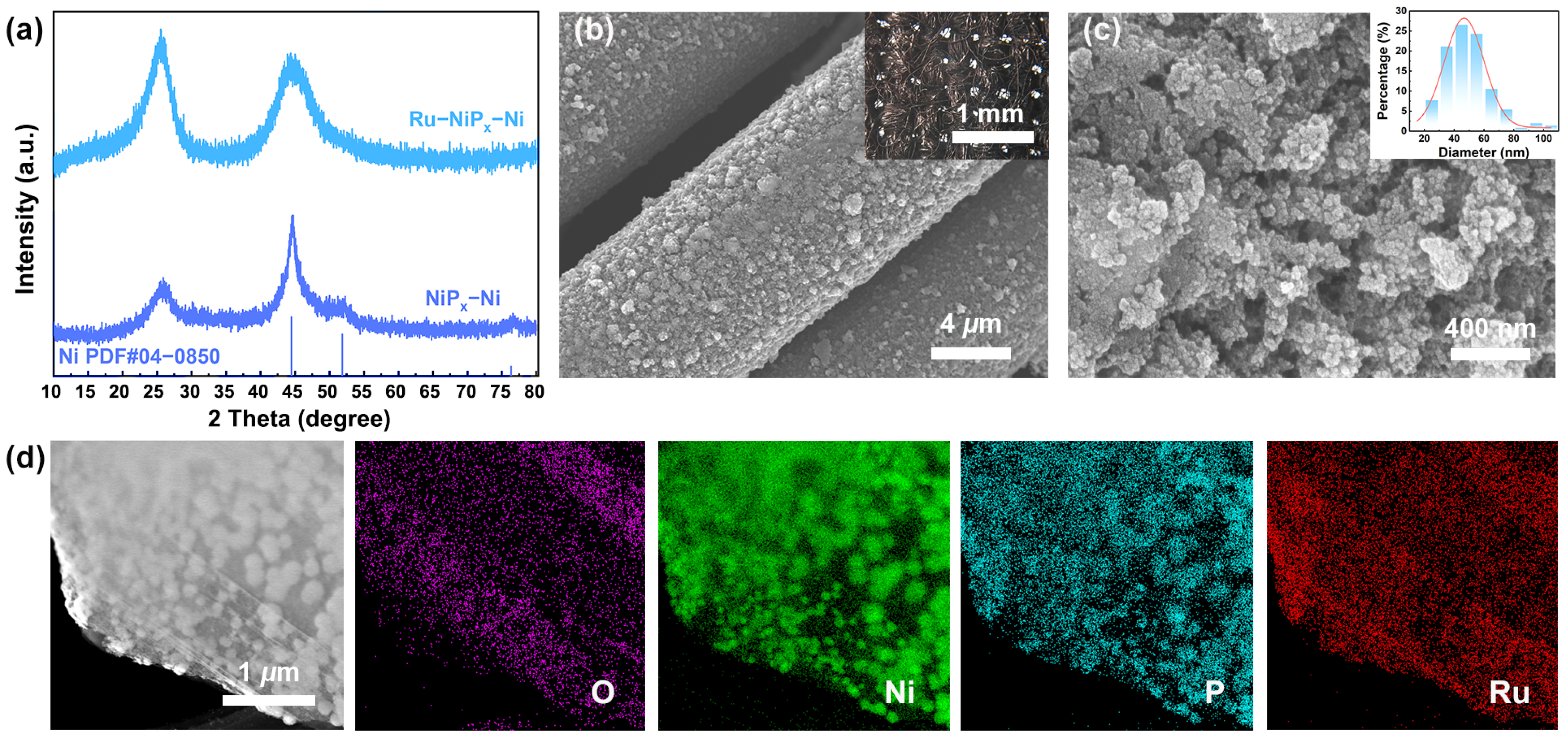 Catalysts 15 00434 g001