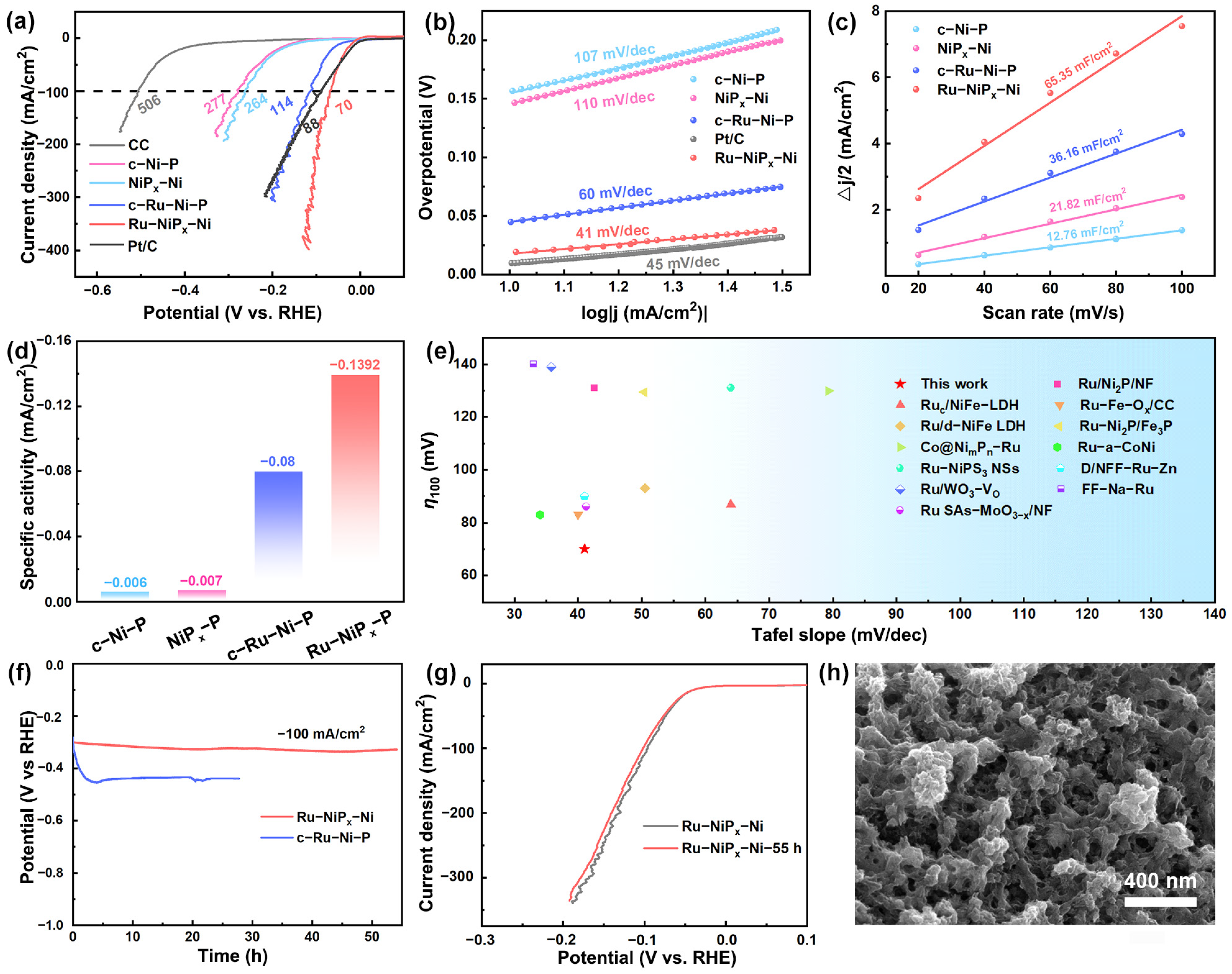 Catalysts 15 00434 g003