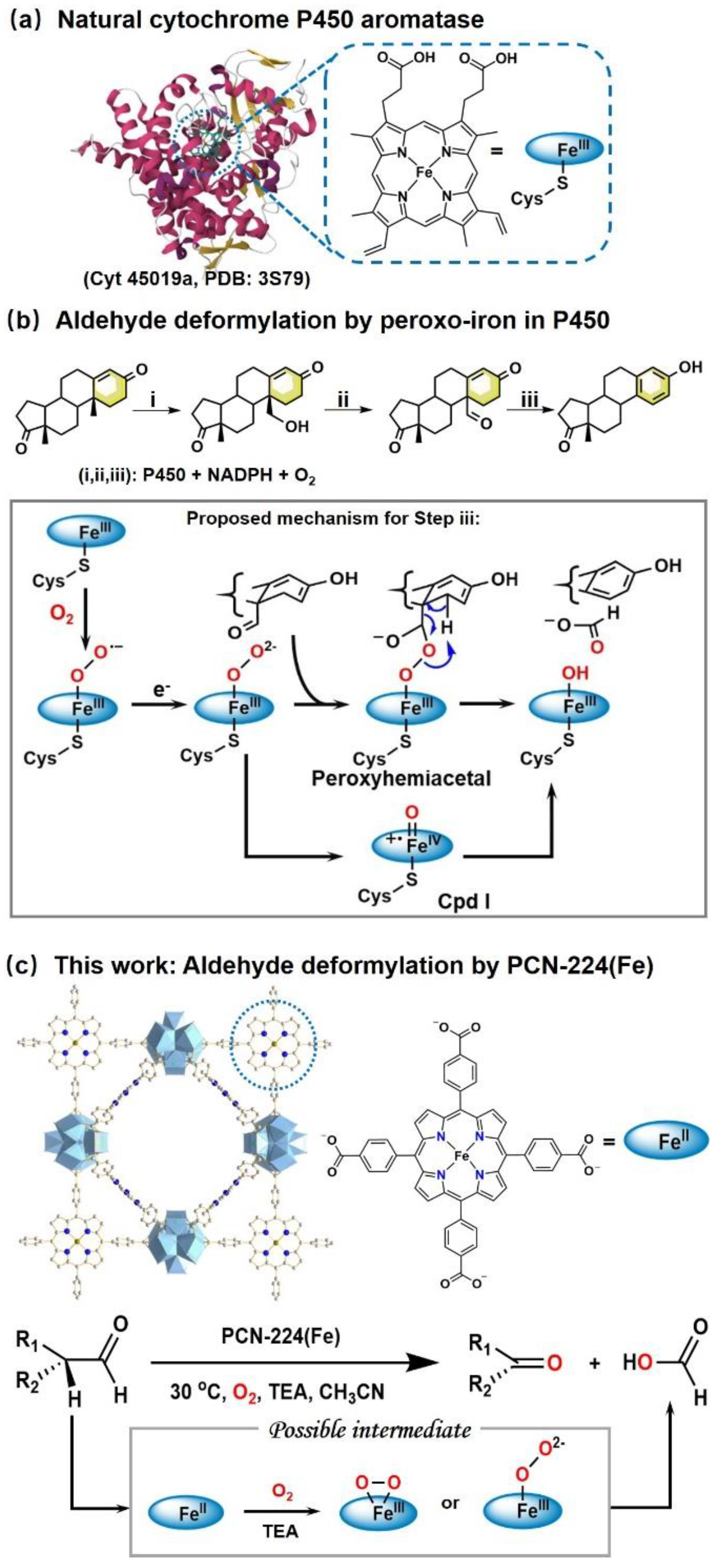 Catalysts 15 00436 sch001