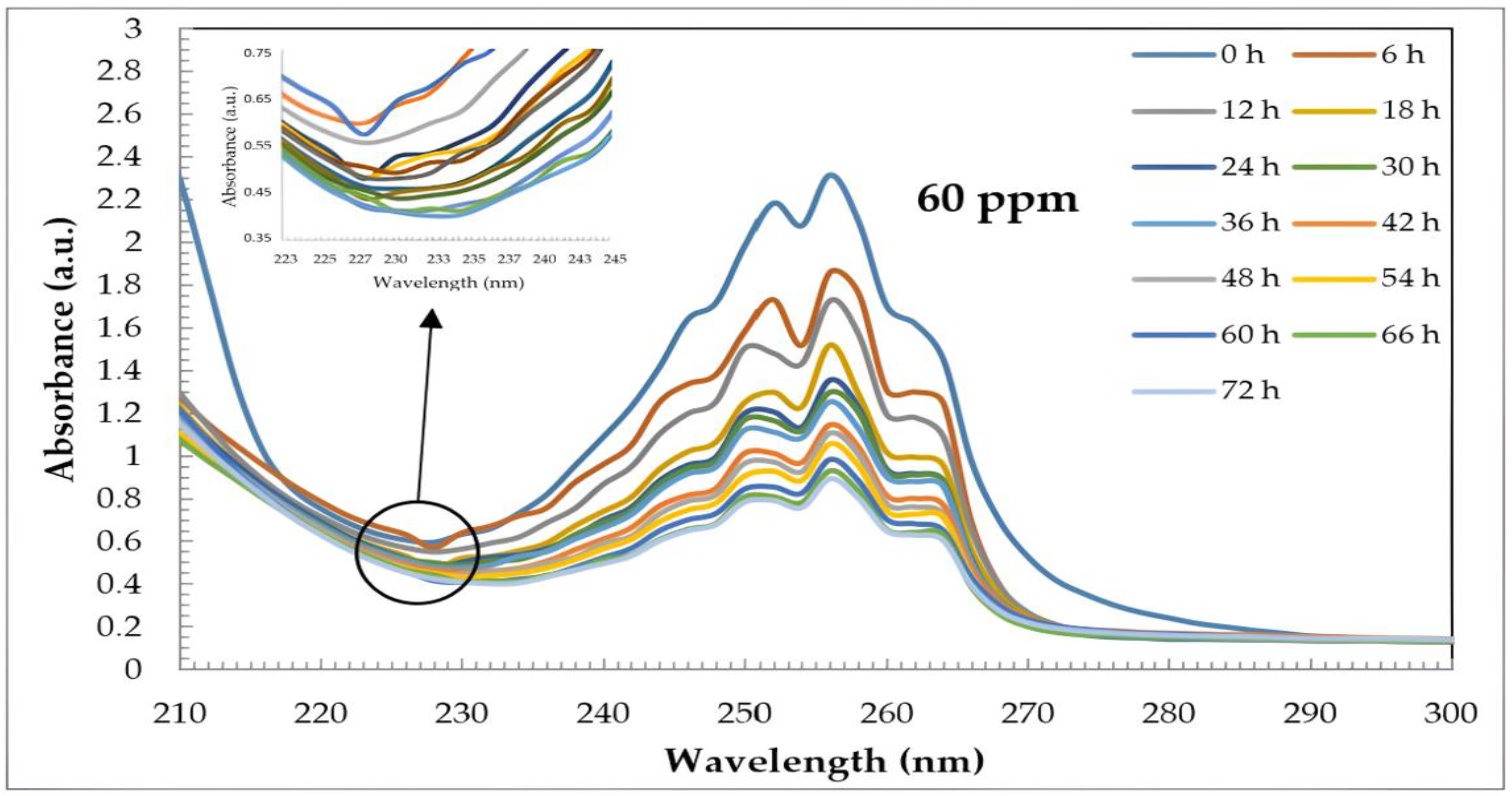 Catalysts 15 00437 g005 Catalysts 15 00437 g005