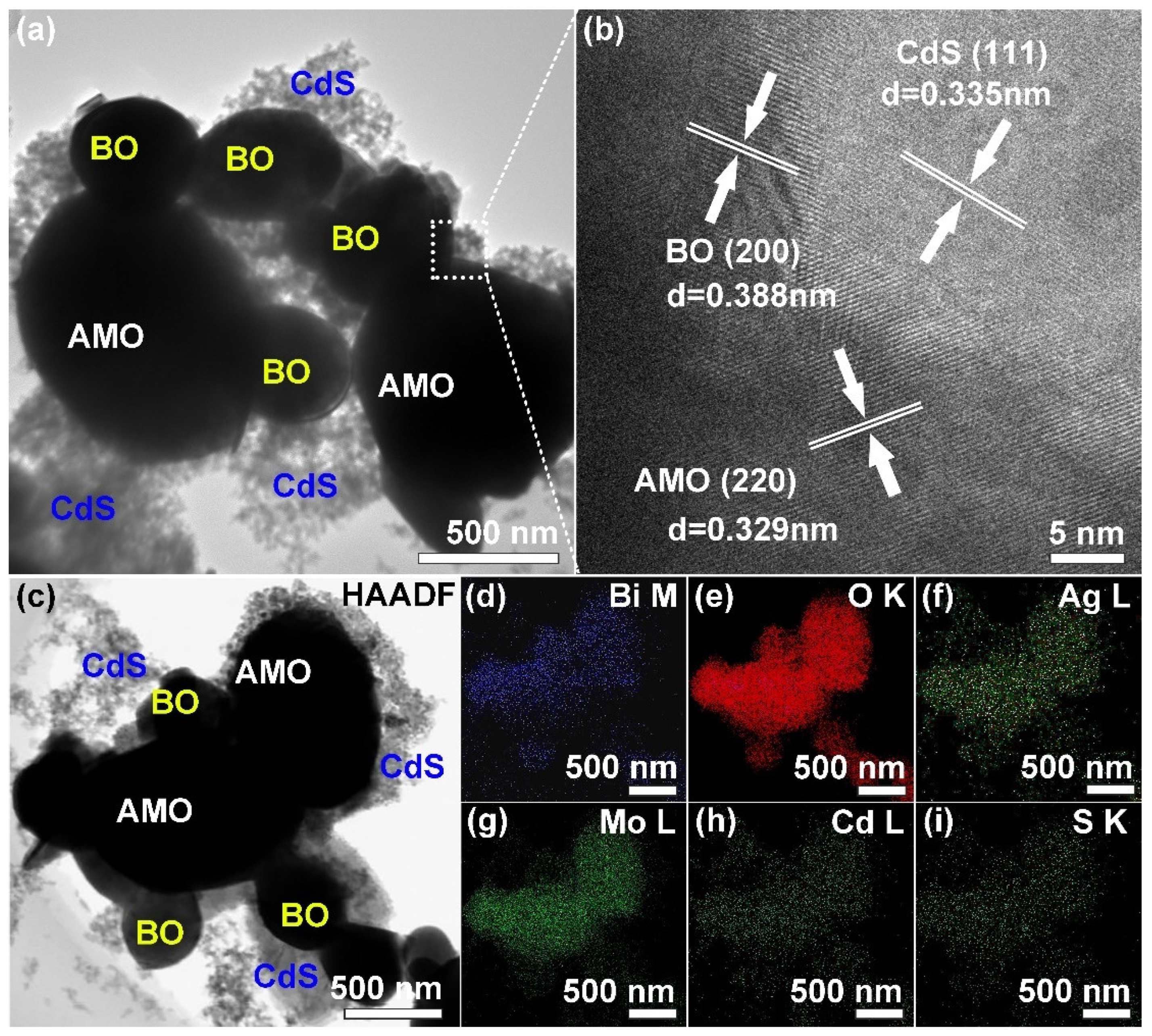 Catalysts 15 00438 g004