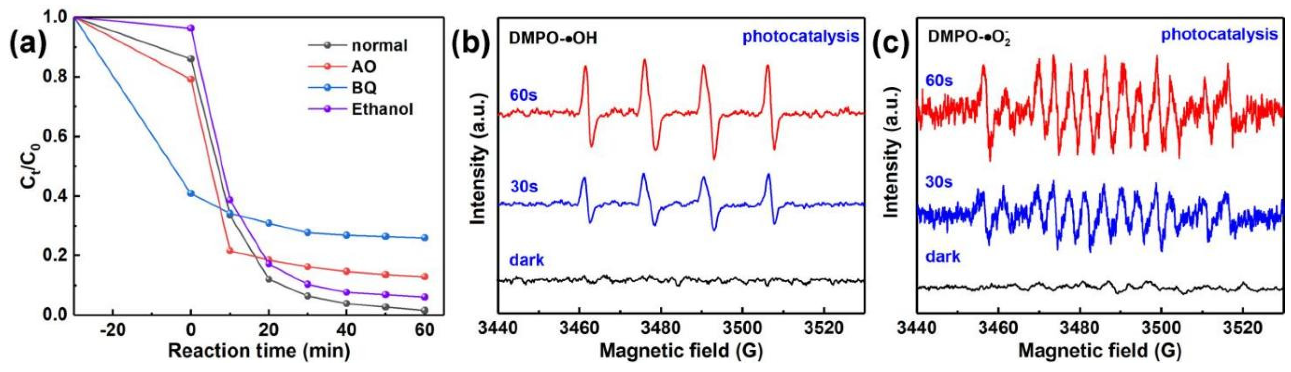 Catalysts 15 00438 g010